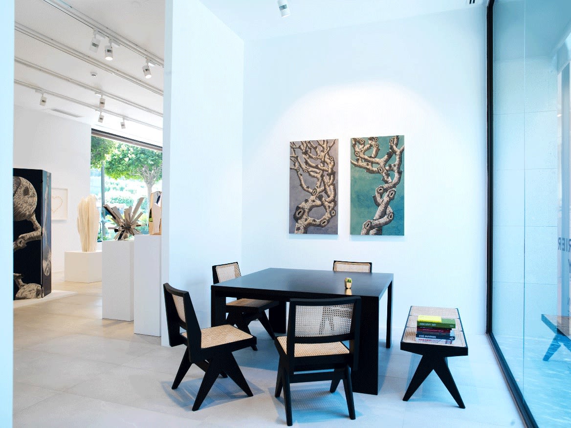 ZOÉ OUVRIER & ARIK LEVY, NATURAL FUSION