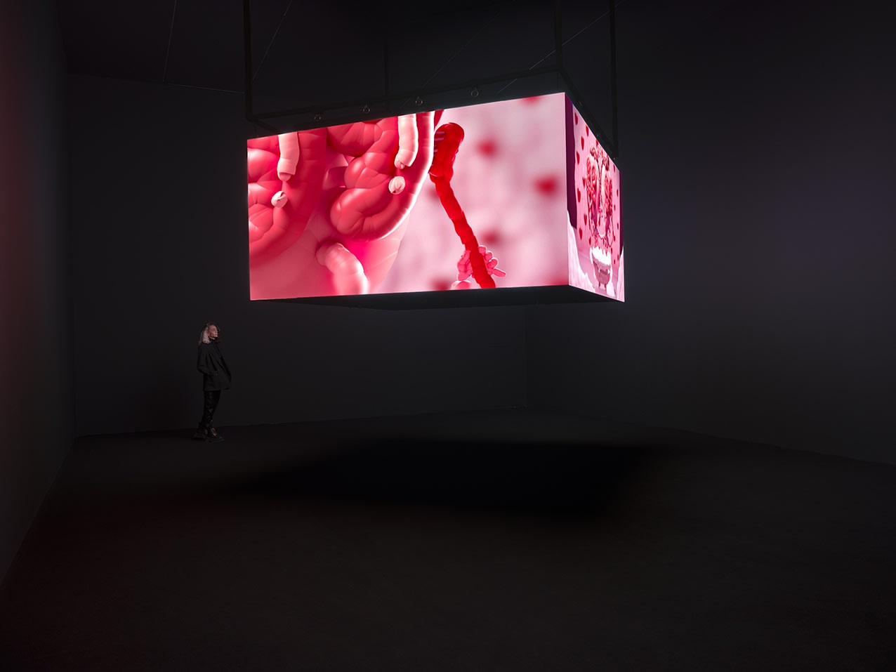 MEHMET & KAZIM, BAD AND BOUJEE