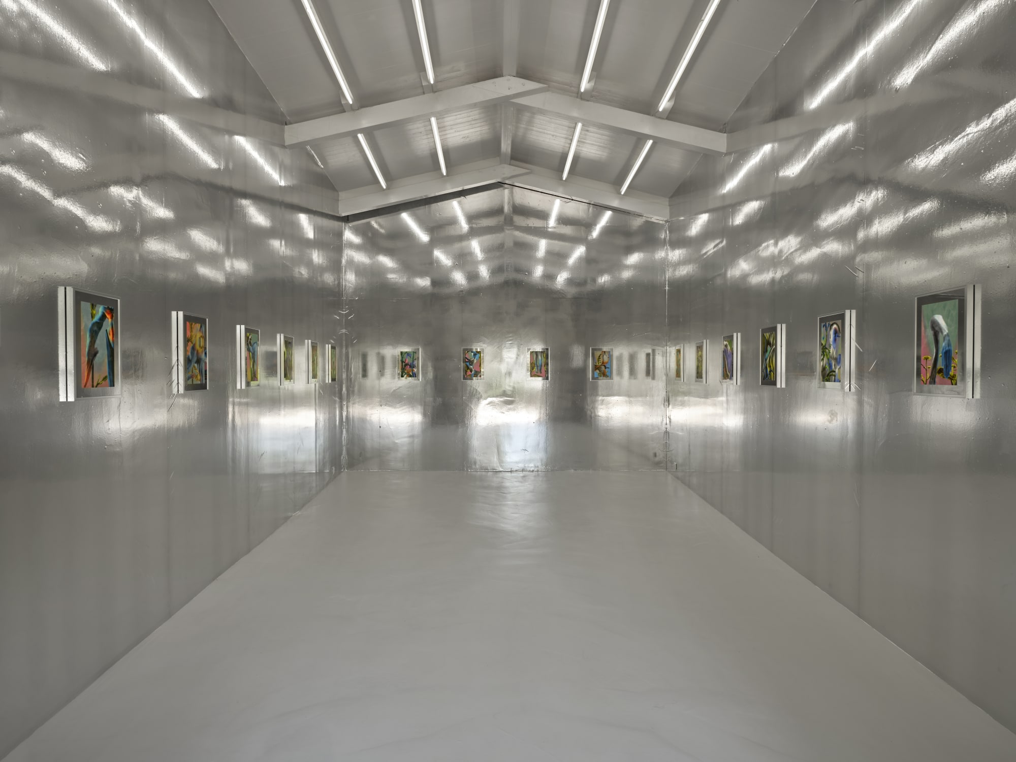 PILEVNELI | YALIKAVAK