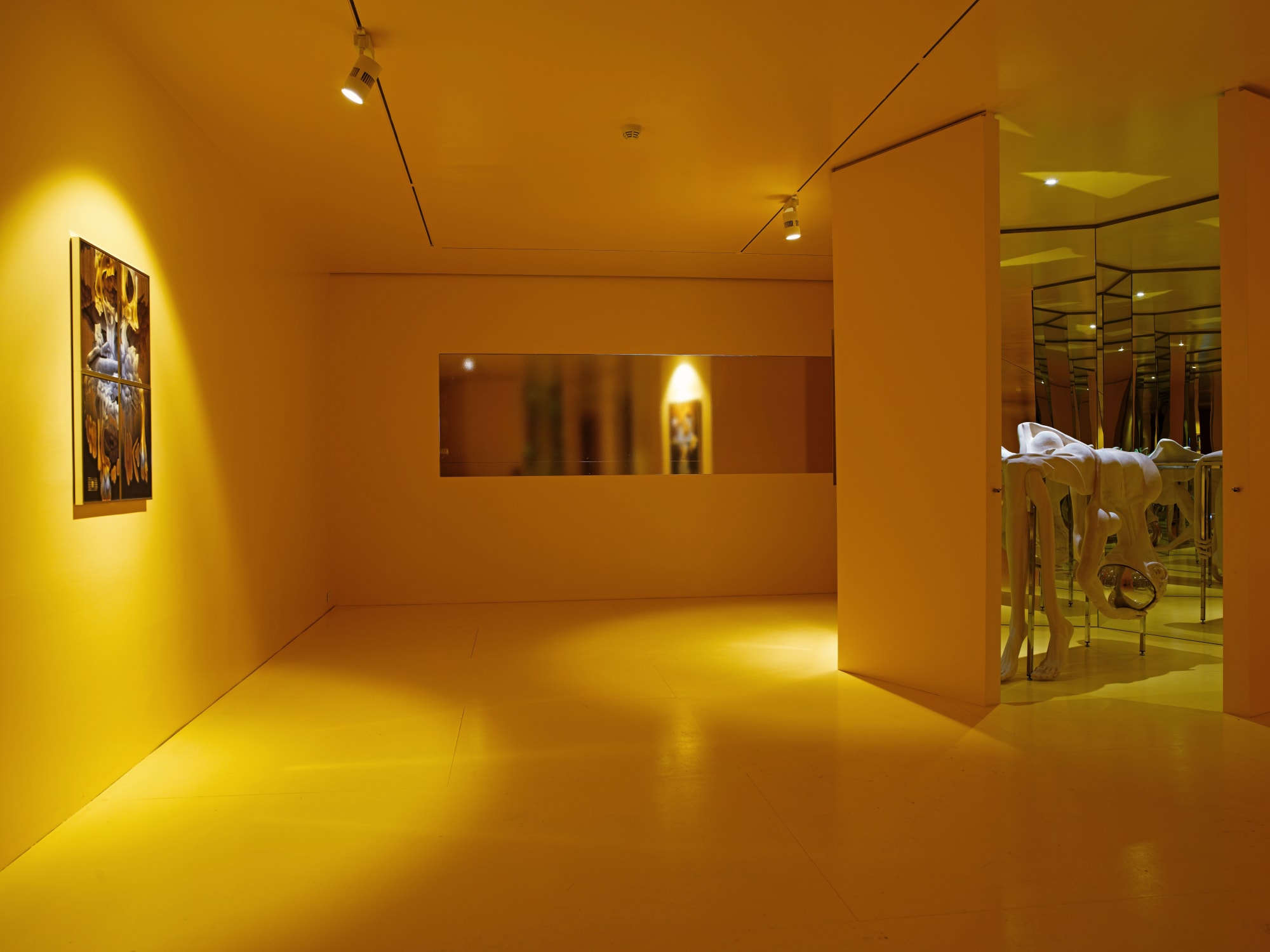 SERKAN SARIER, SWARM