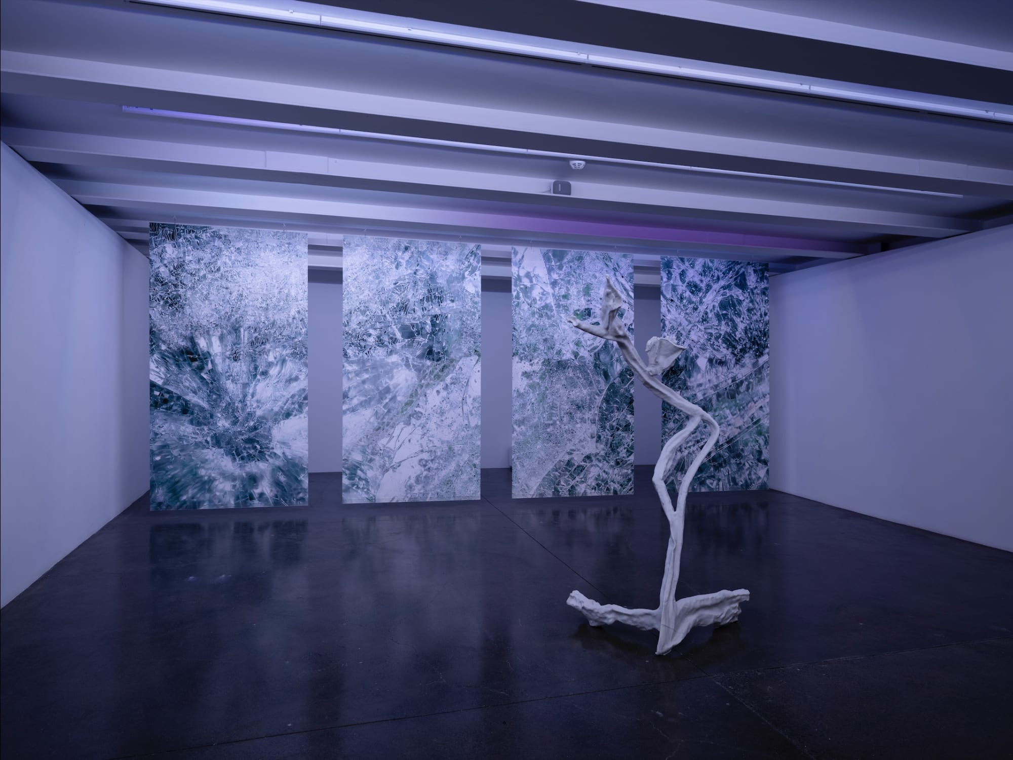 ALİ EMİR TAPAN, THE GARDEN