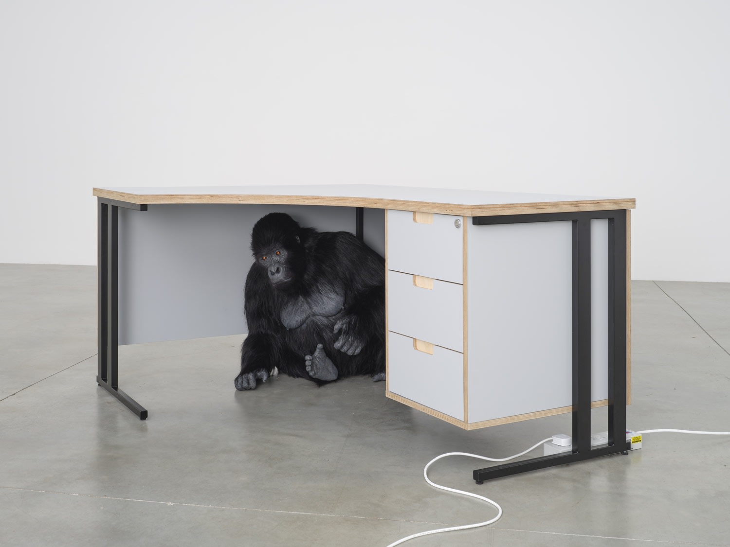 RYAN GANDER