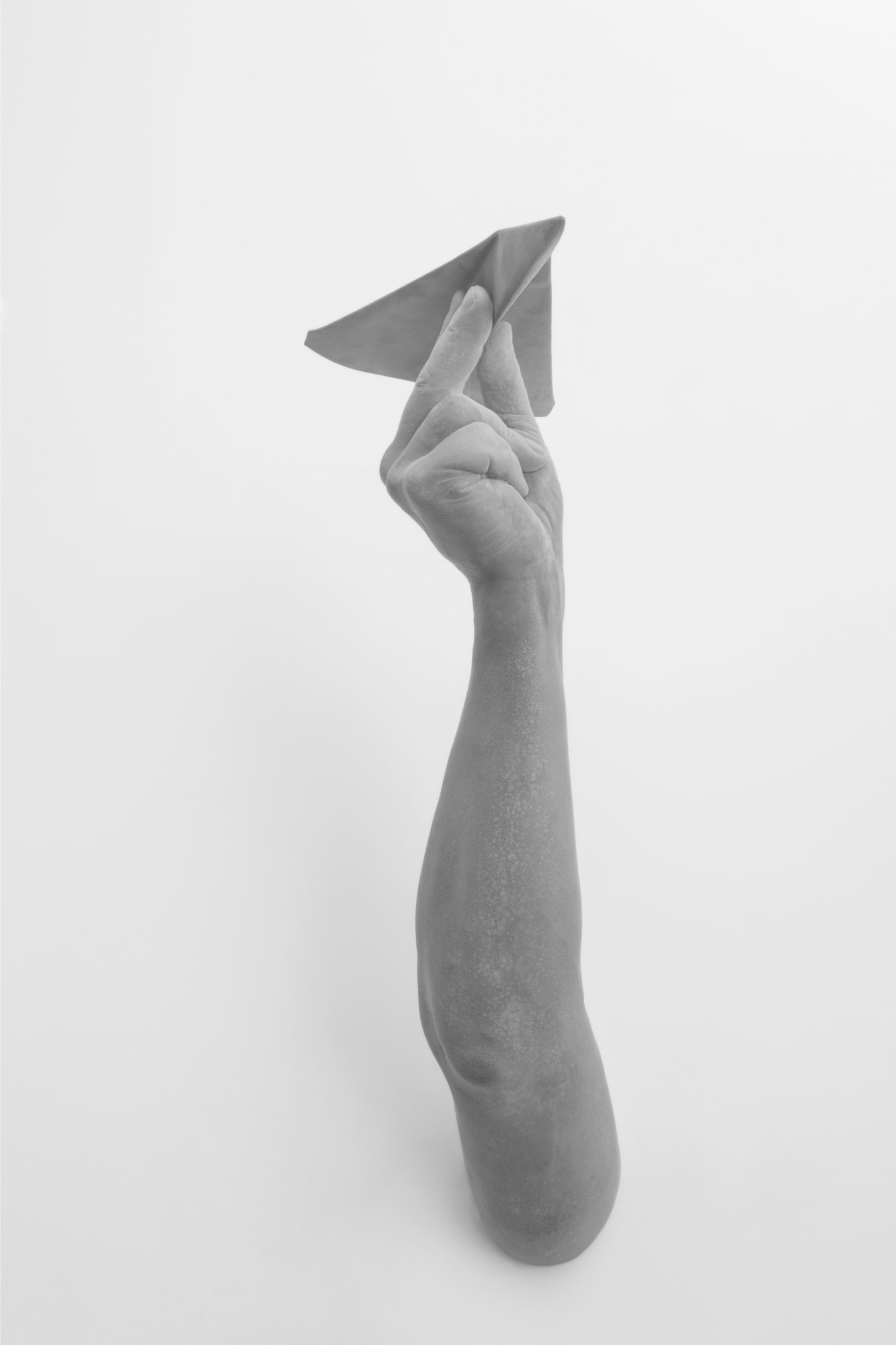 Gesture (paper plane), 2014