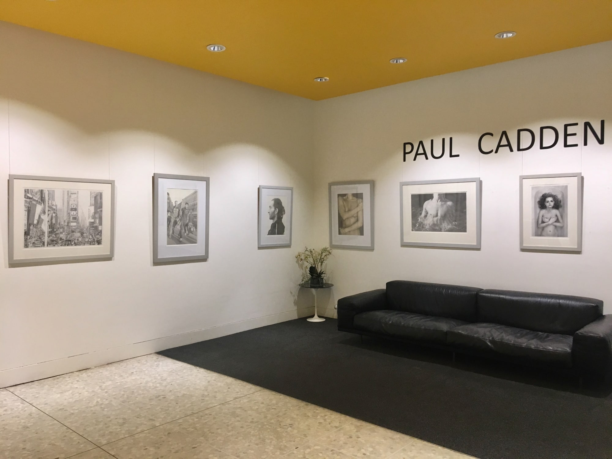 Paul Cadden at the Piper