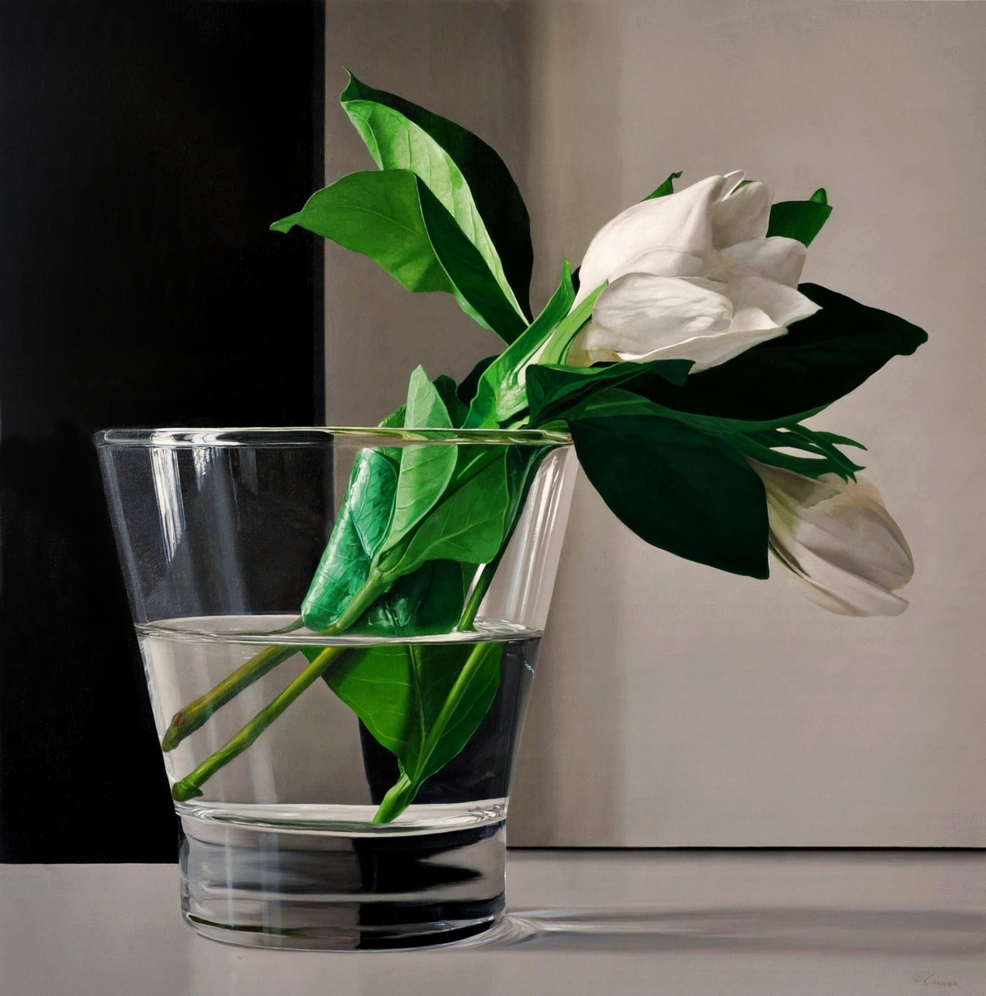 Fernando O'Connor "Two Jasmines" Oil on canvas 90 x 90 cm