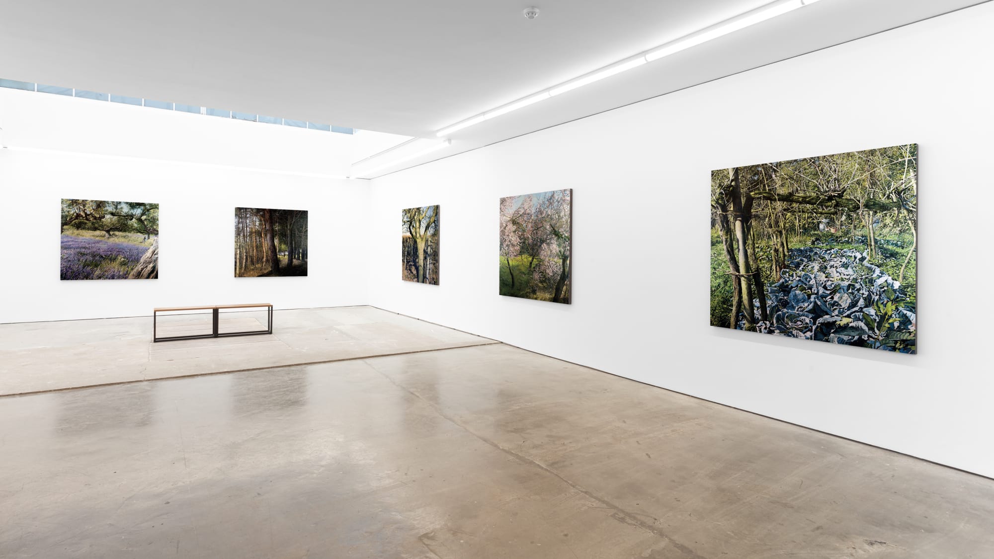 Matteo Massagrande, Into the Light, Pontone Gallery, 2020