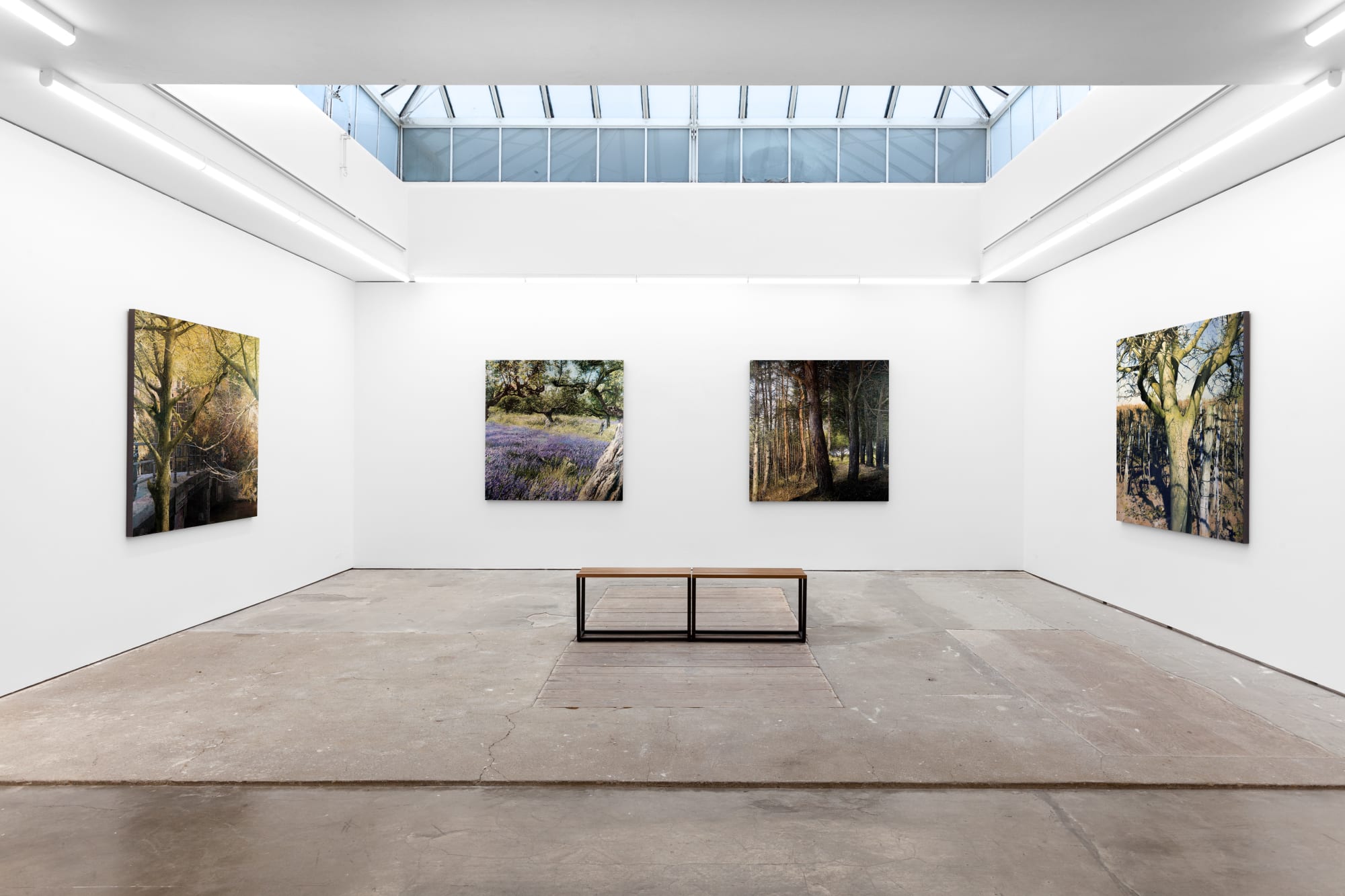 Matteo Massagrande, Into the Light, Pontone Gallery, 2020