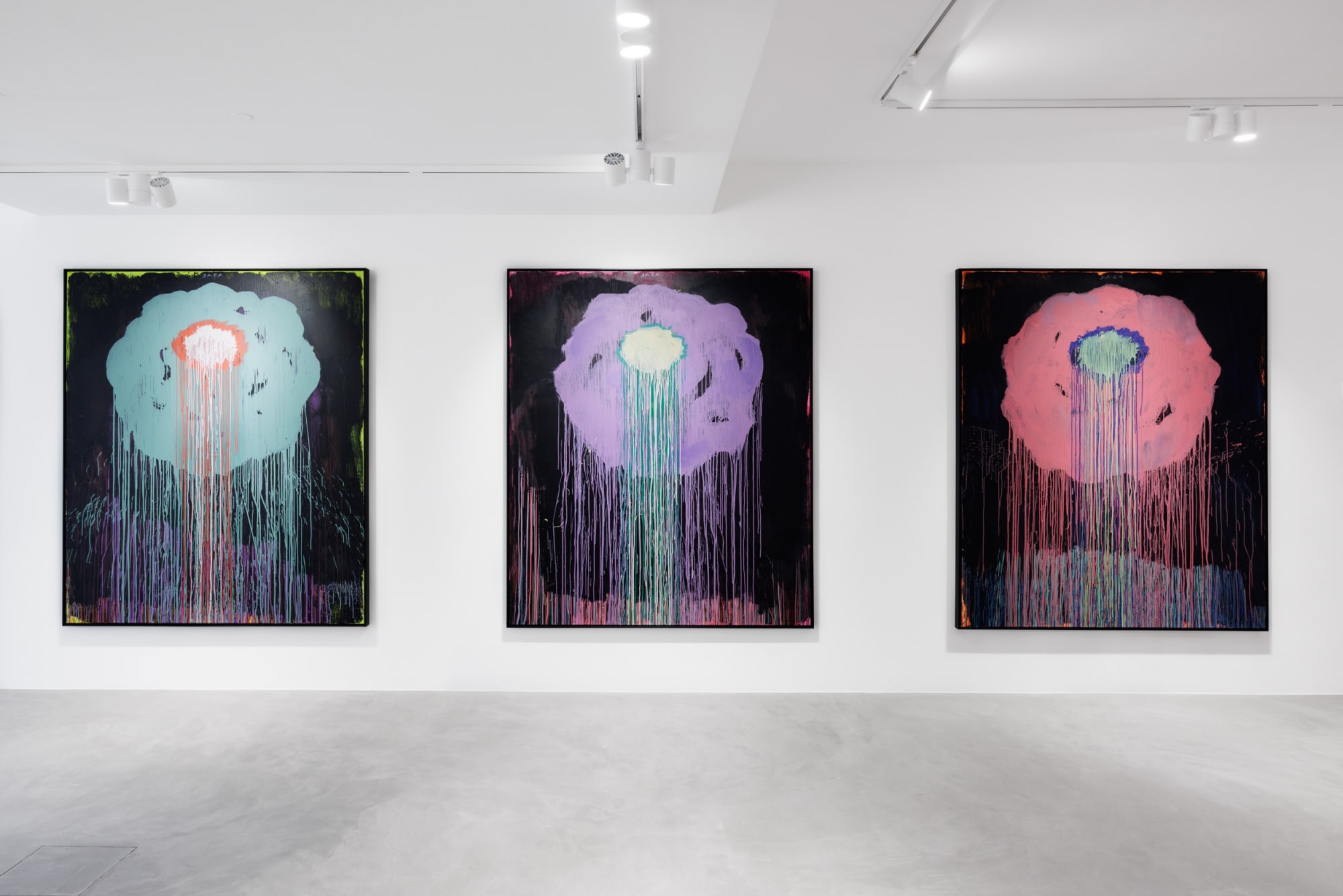 Julien Jaca - Blossom of a Lost World (2025) Installation view at PULPO GALLERY