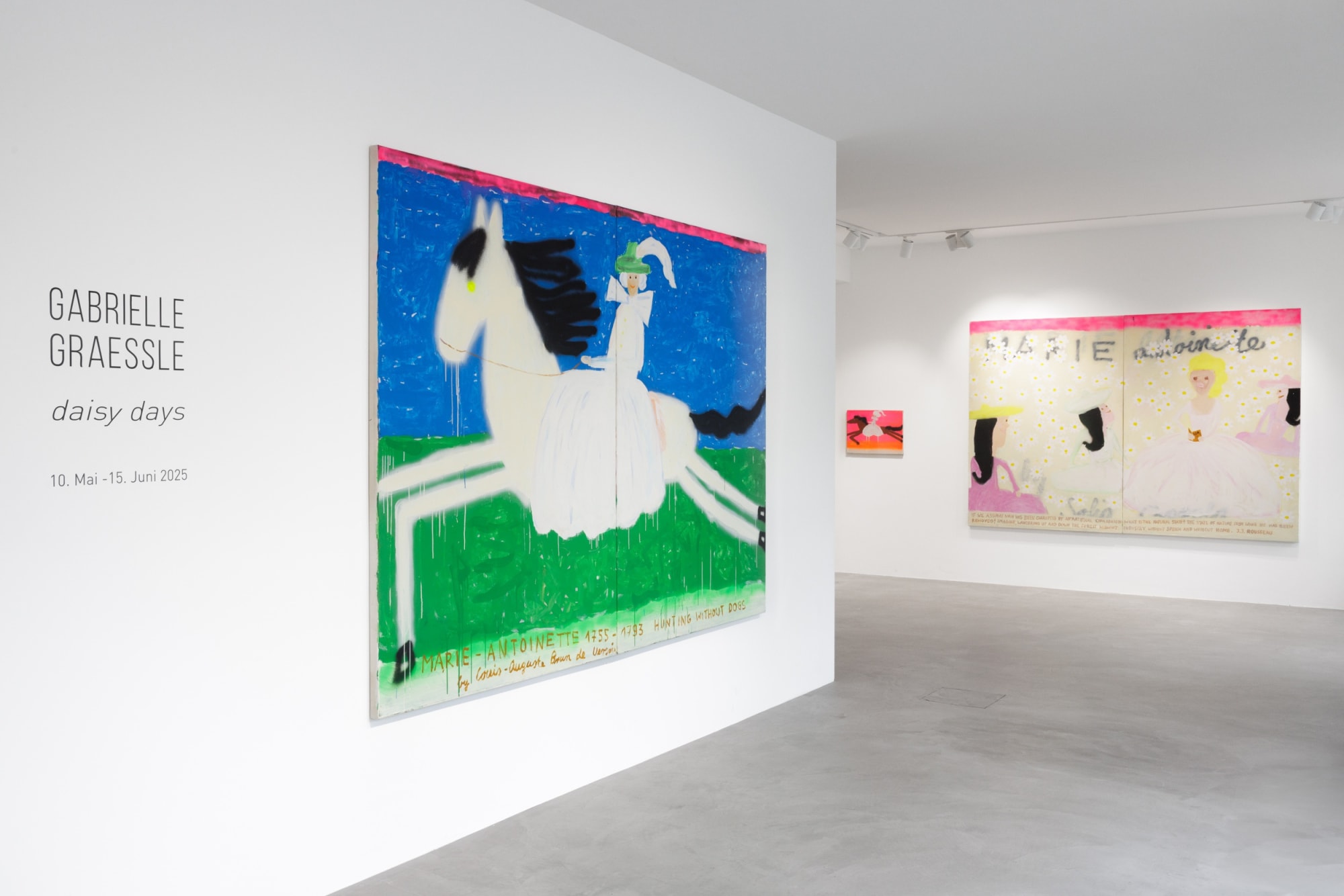 Installation view at PULPO GALLERY | Gabrielle Graessle, daisy days, 2025