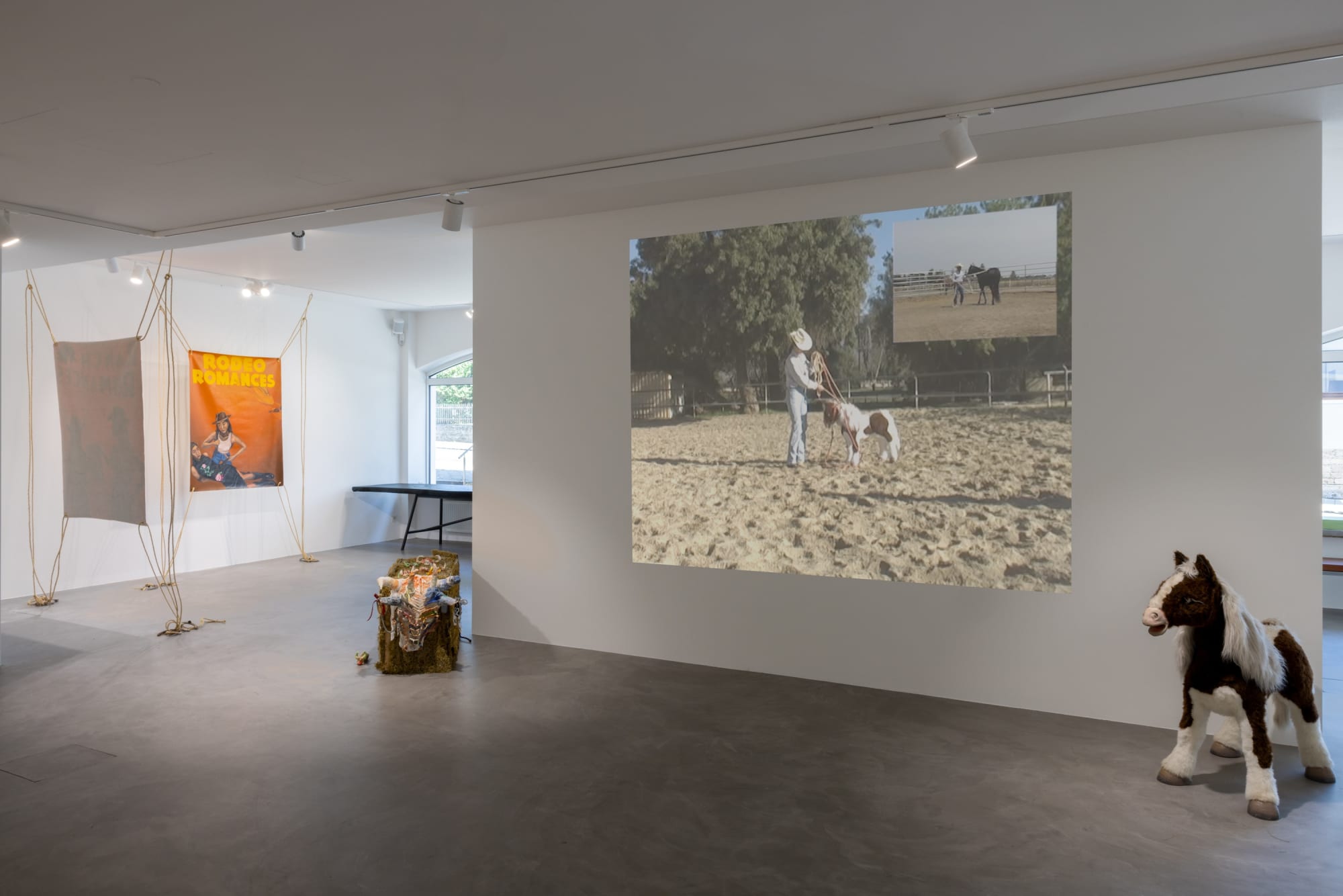 stephanie mei huang: how to hobble a young horse