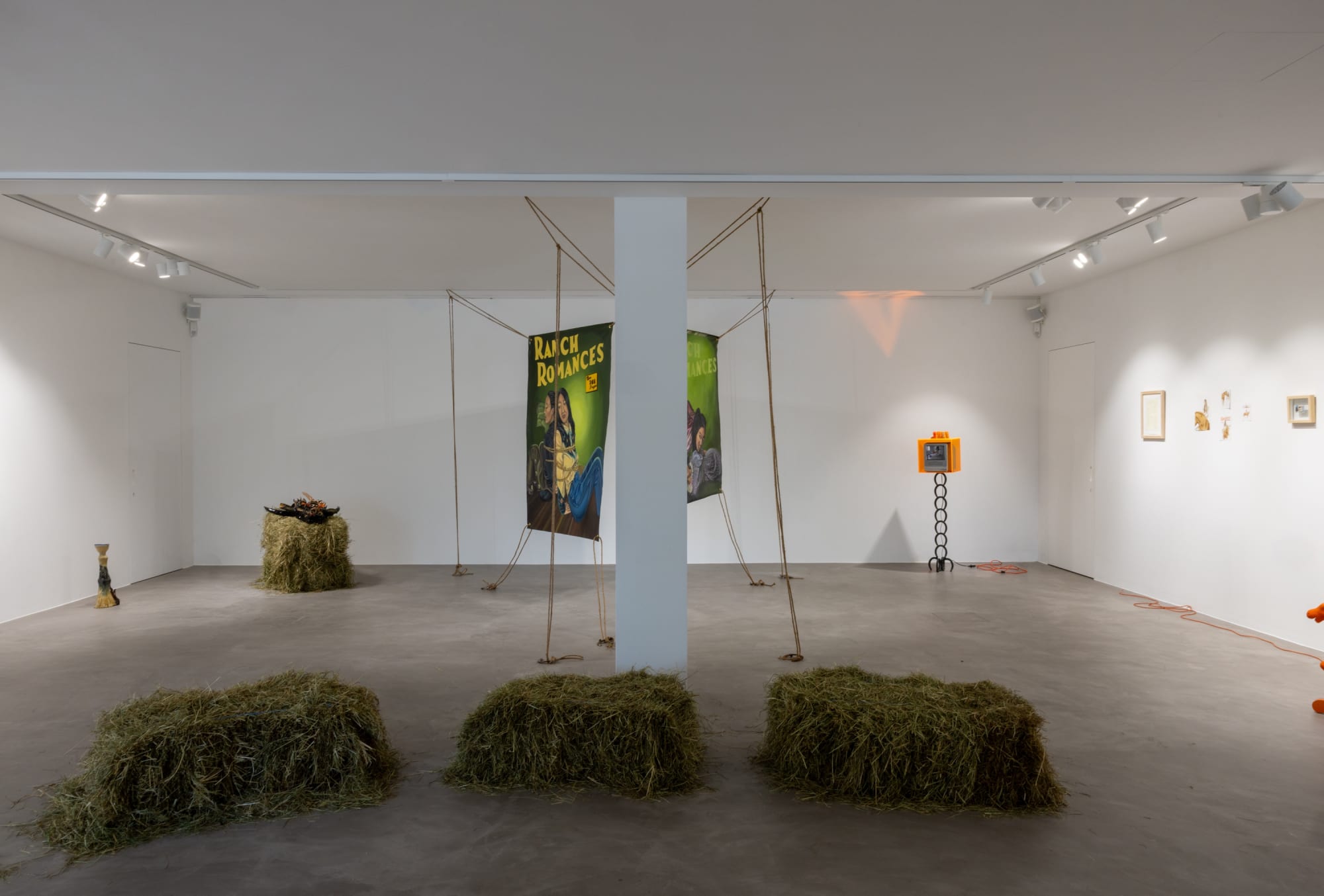 stephanie mei huang: how to hobble a young horse