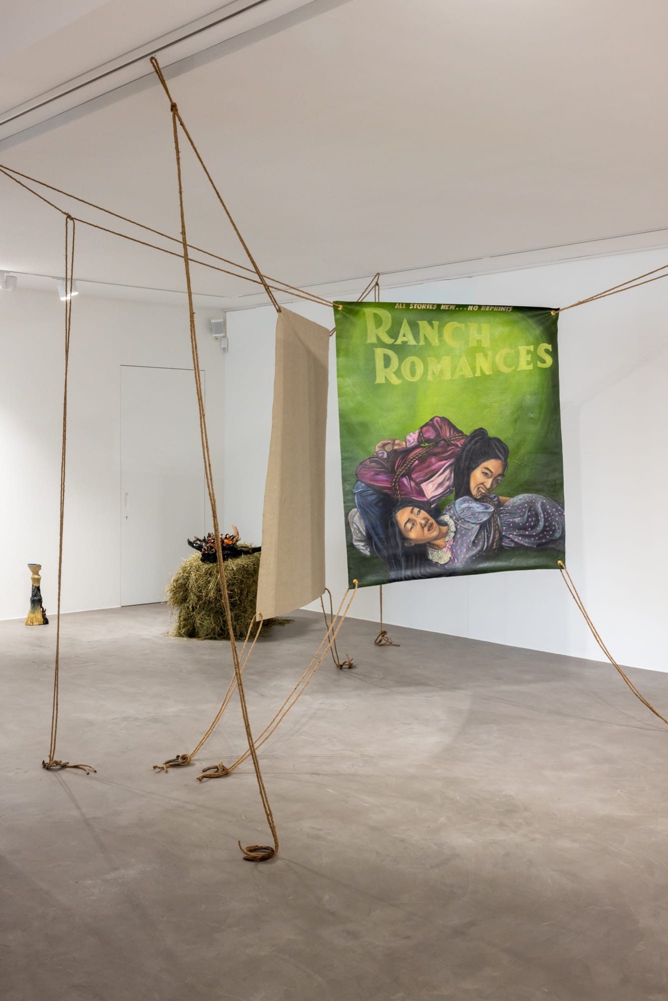 stephanie mei huang: how to hobble a young horse