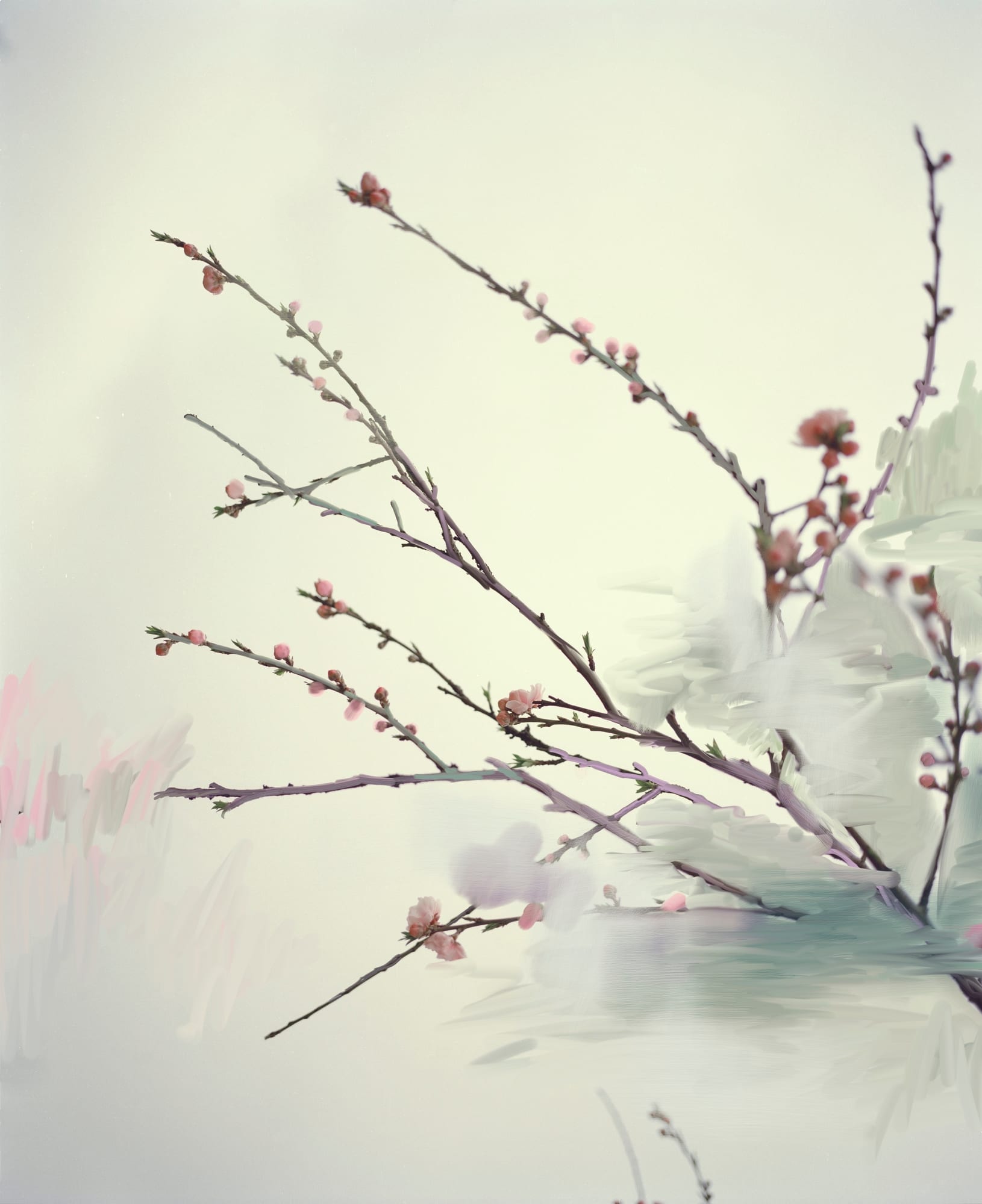 Sandra Kantanen Untitled (Sakura 4), 2014