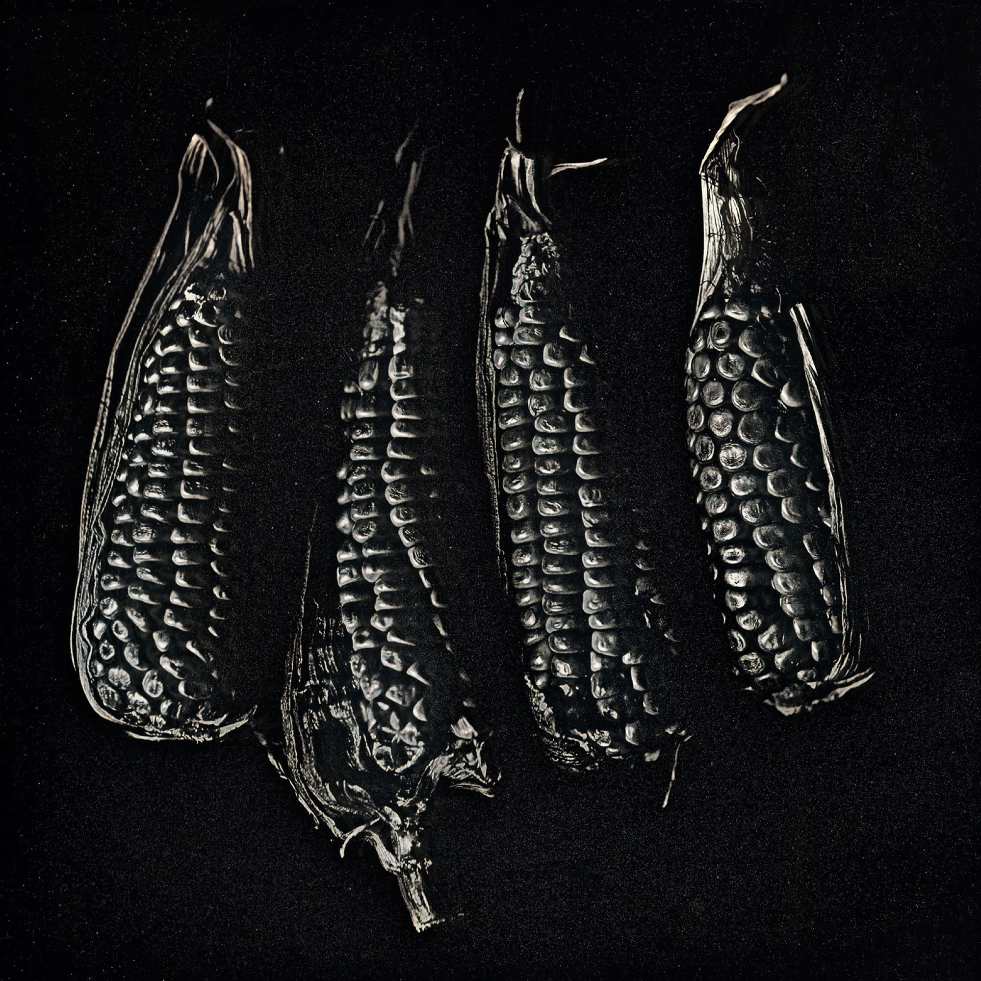 Takashi Arai, Bogota Corn, May 14, 2019
