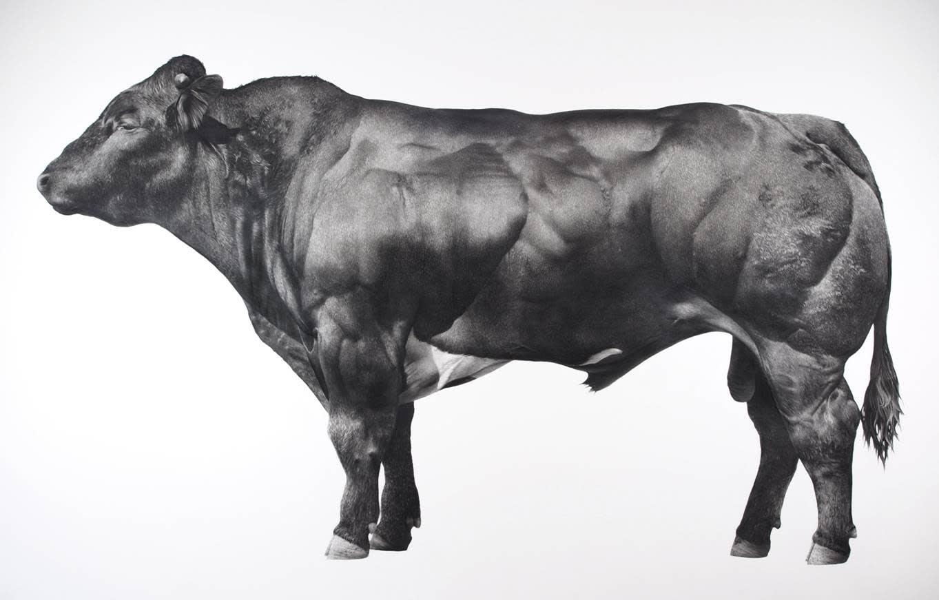 Jonathan Delafield Cook, British Blue, 2014