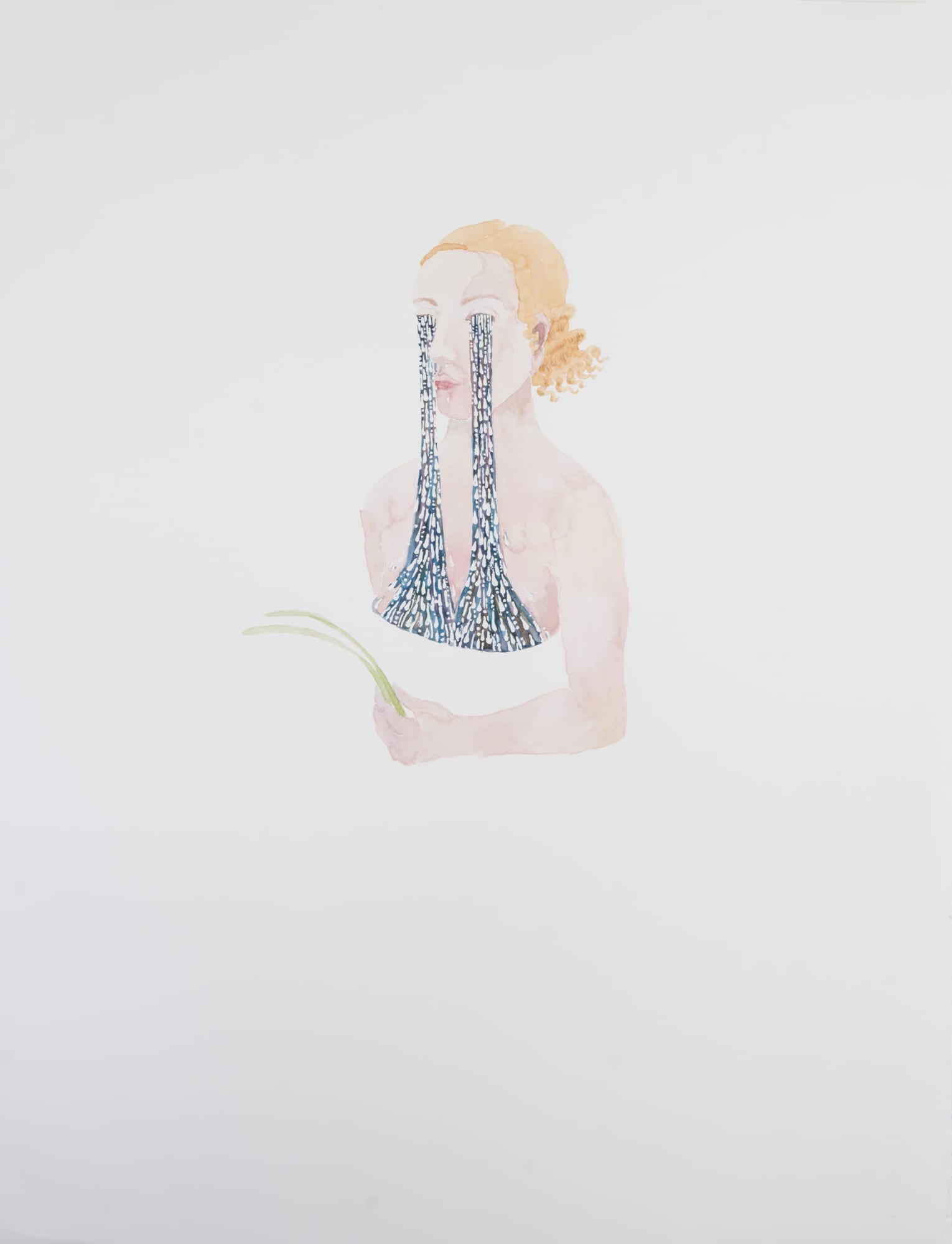 Alice Maher, The Great Falls , 2015