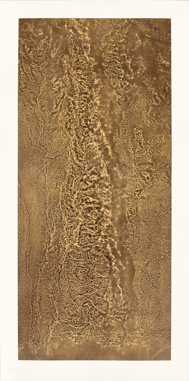Susan Derges, Cascade , 2018