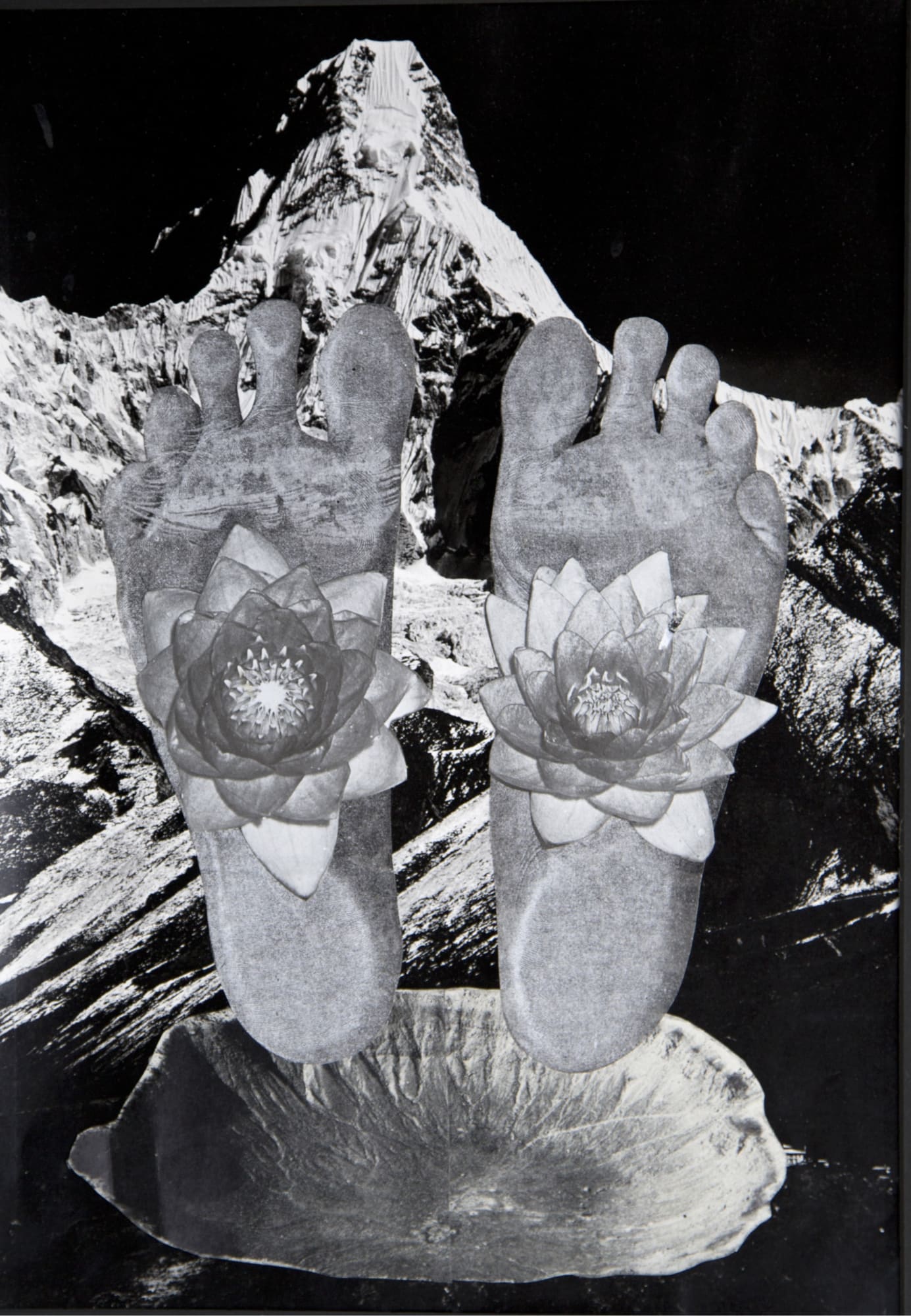 The Night Side of Nature: Ithell Colquhoun, Claire Kerr, Alice Maher, Penny Slinger