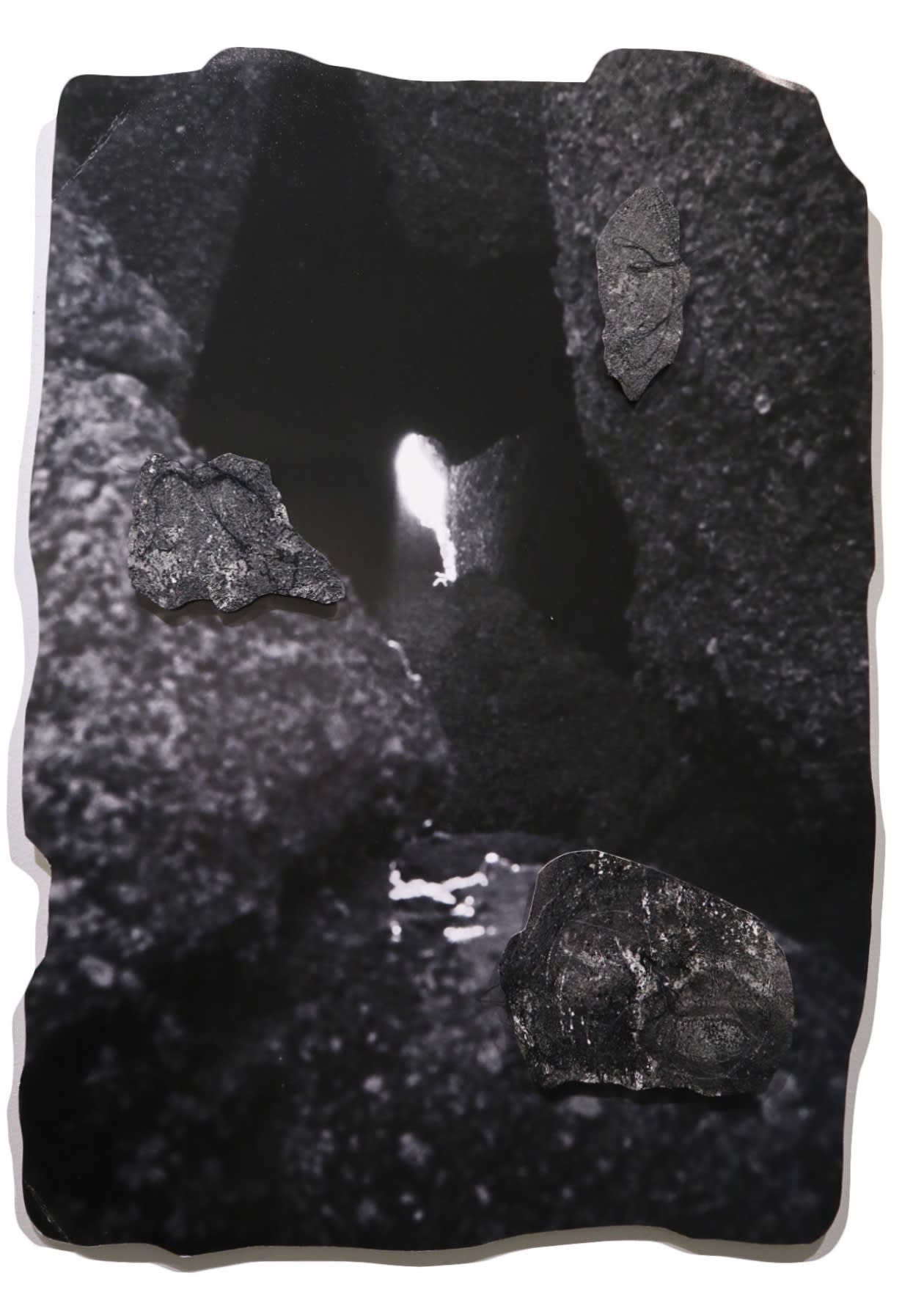 Jan Sunday, WAP, 2020