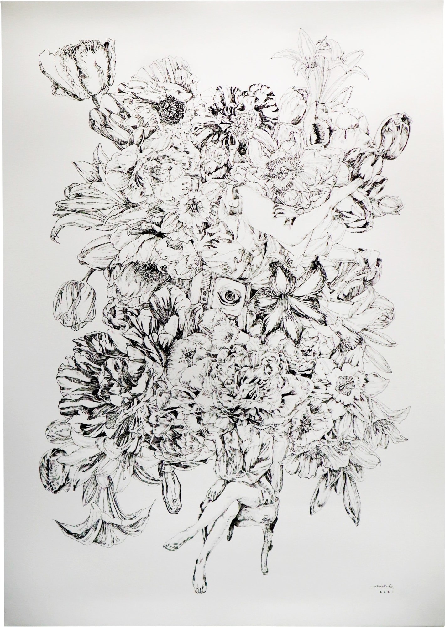 Irish Galon, Comfort II, 2021