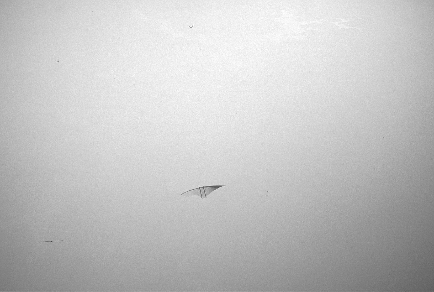 Adam Belt | Condensation