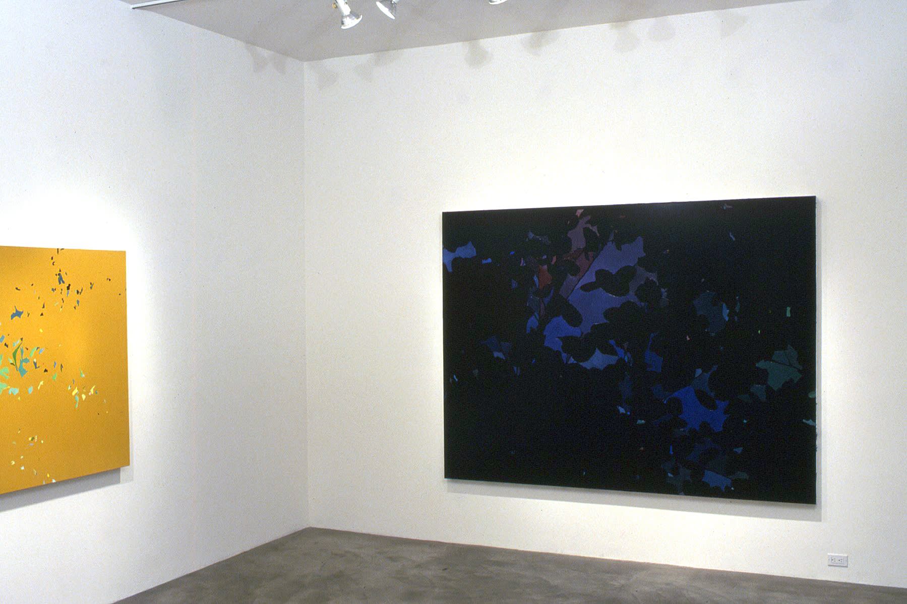 Stephen P. Curry | Constellation