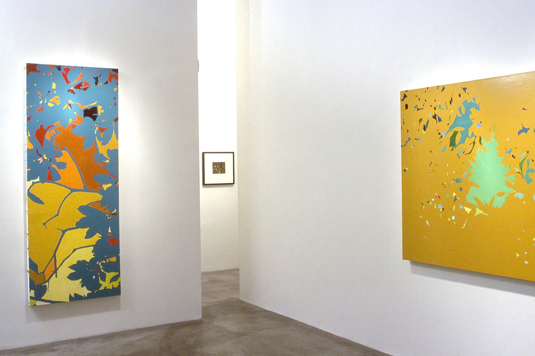 Stephen P. Curry | Constellation