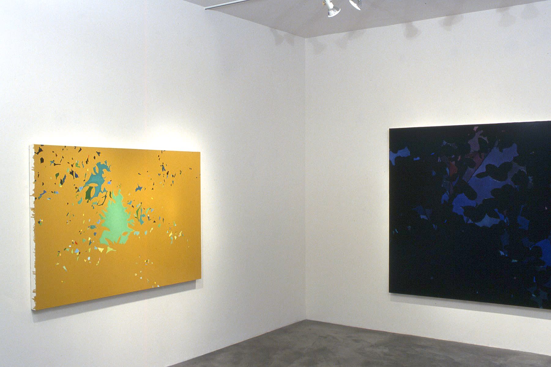 Stephen P. Curry | Constellation