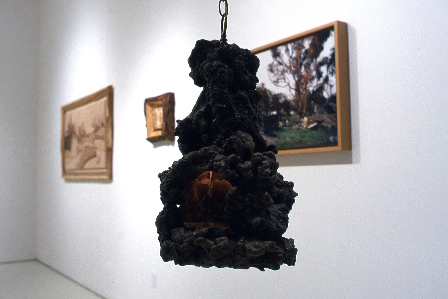 Roman de Salvo | Woods