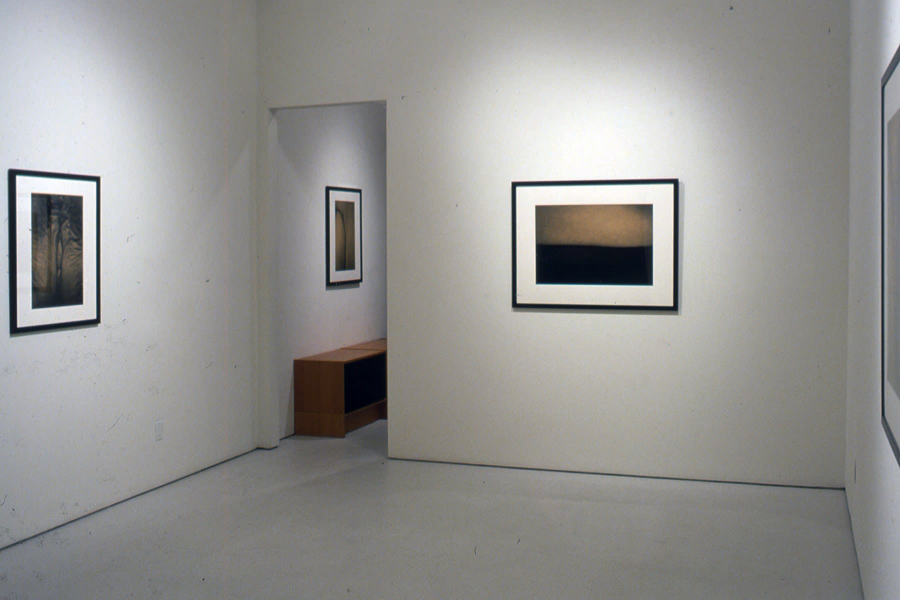 Han Nguyen | New Photographs