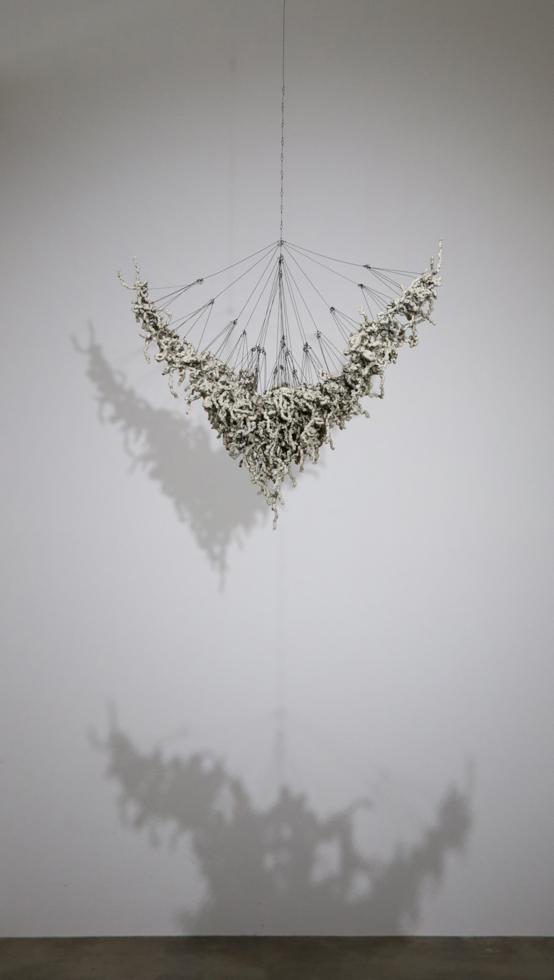 Anne Mudge | Matterings