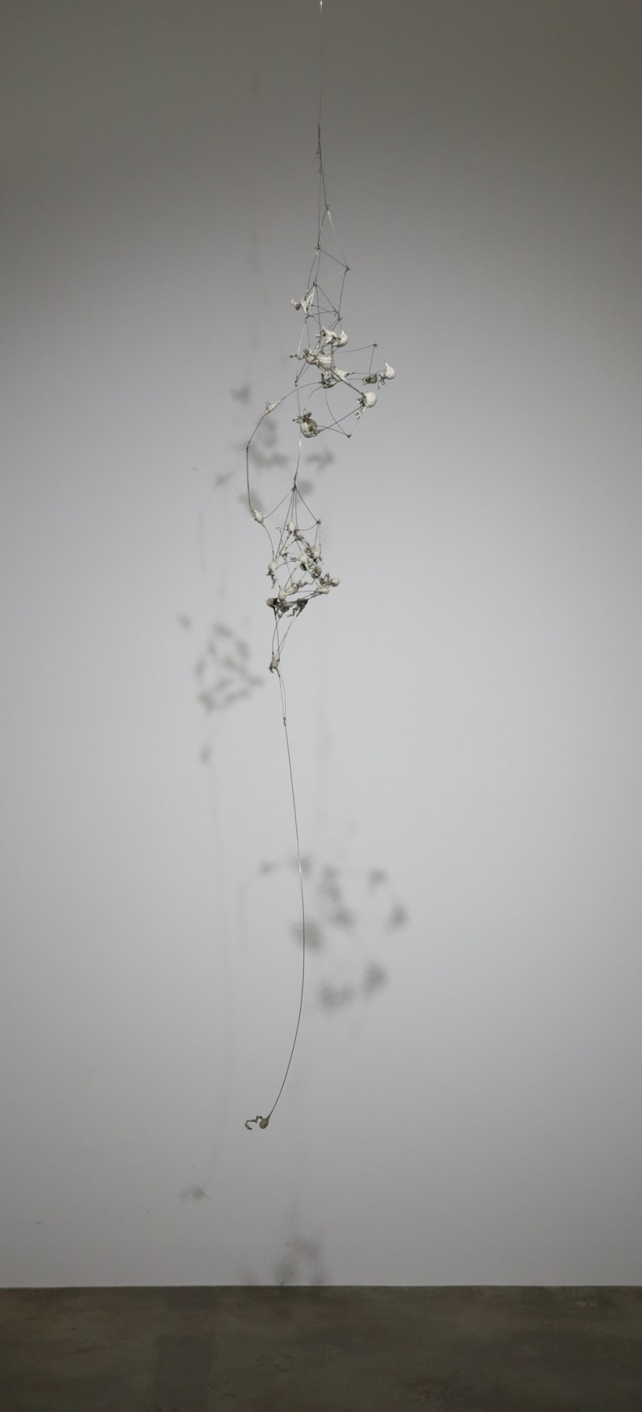 Anne Mudge | Matterings