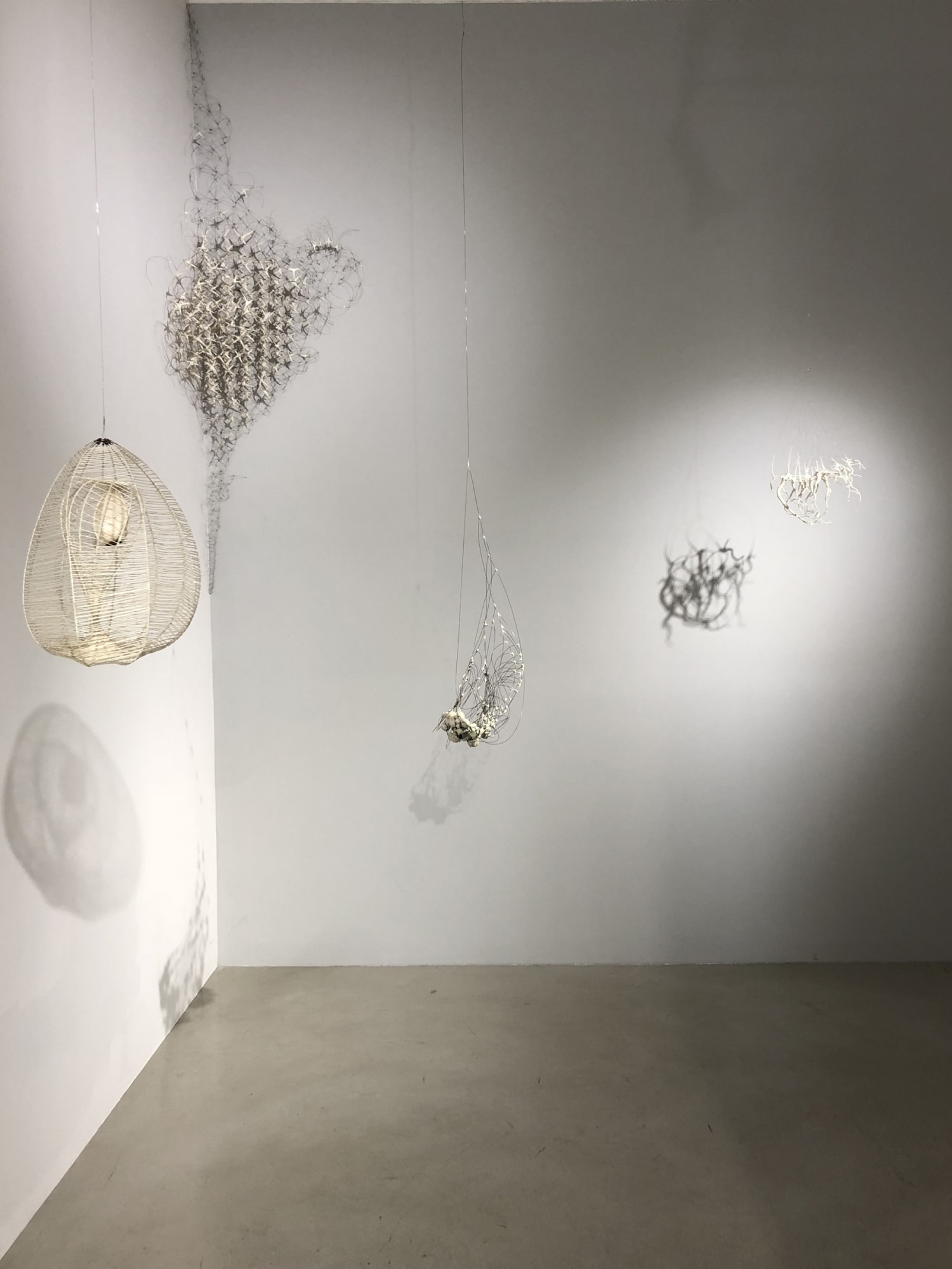 Anne Mudge | Matterings