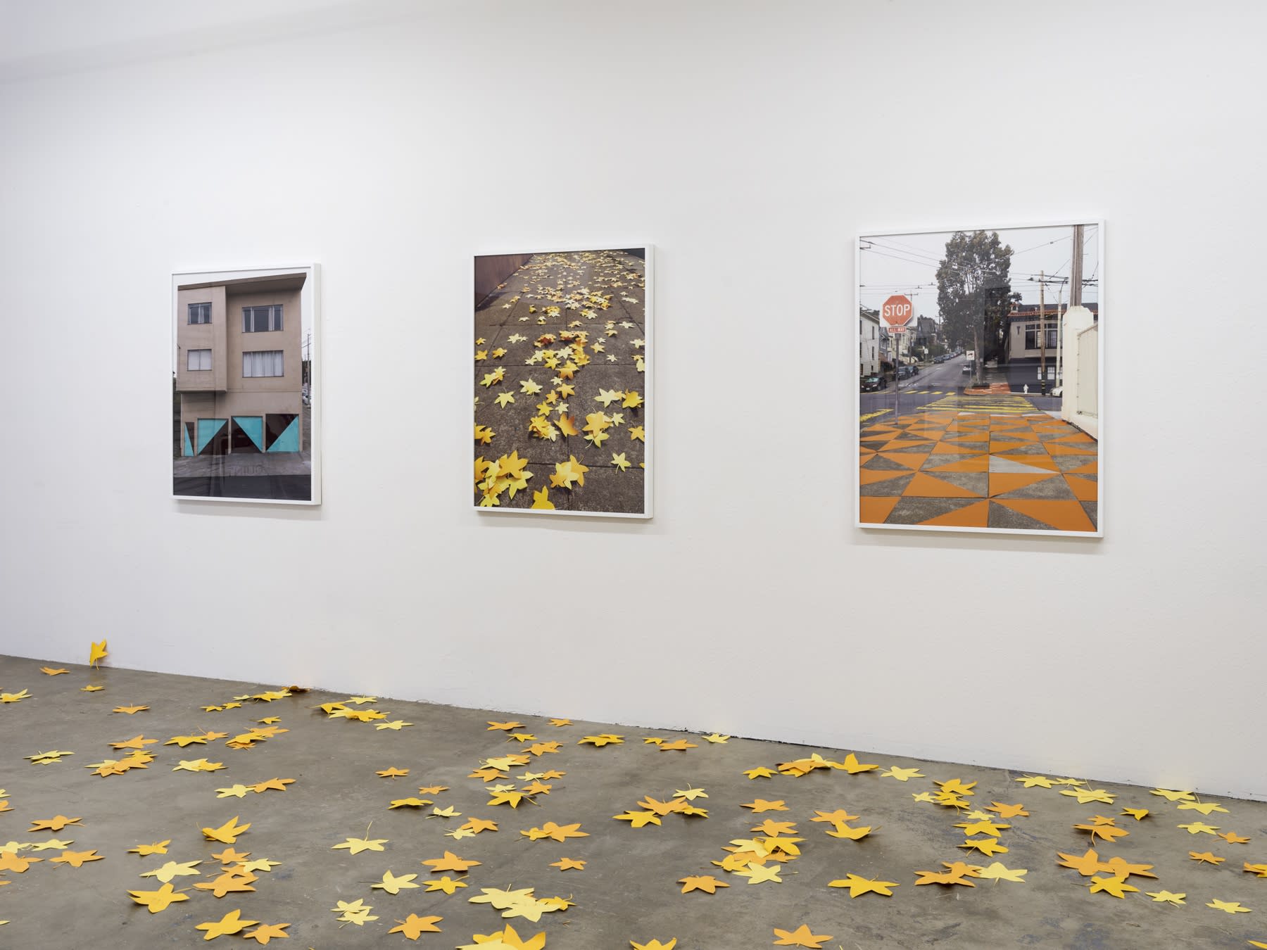 Lee Materazzi | PLaY