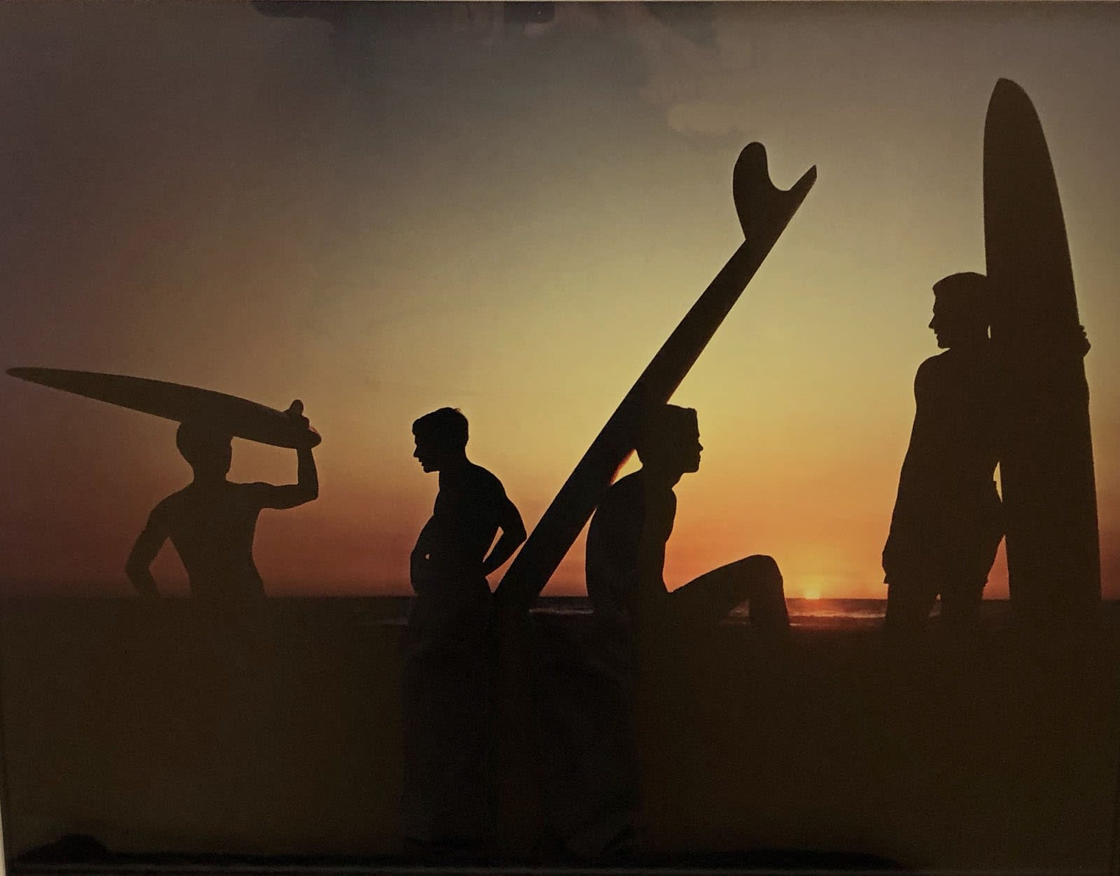 Roy Porello | Pacific Portraits