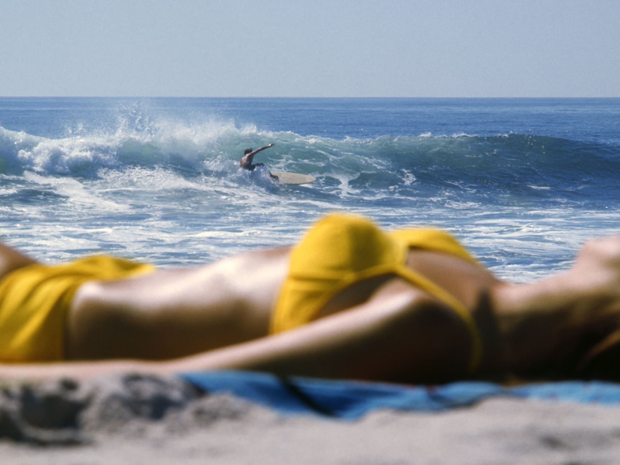 Roy Porello | Pacific Portraits