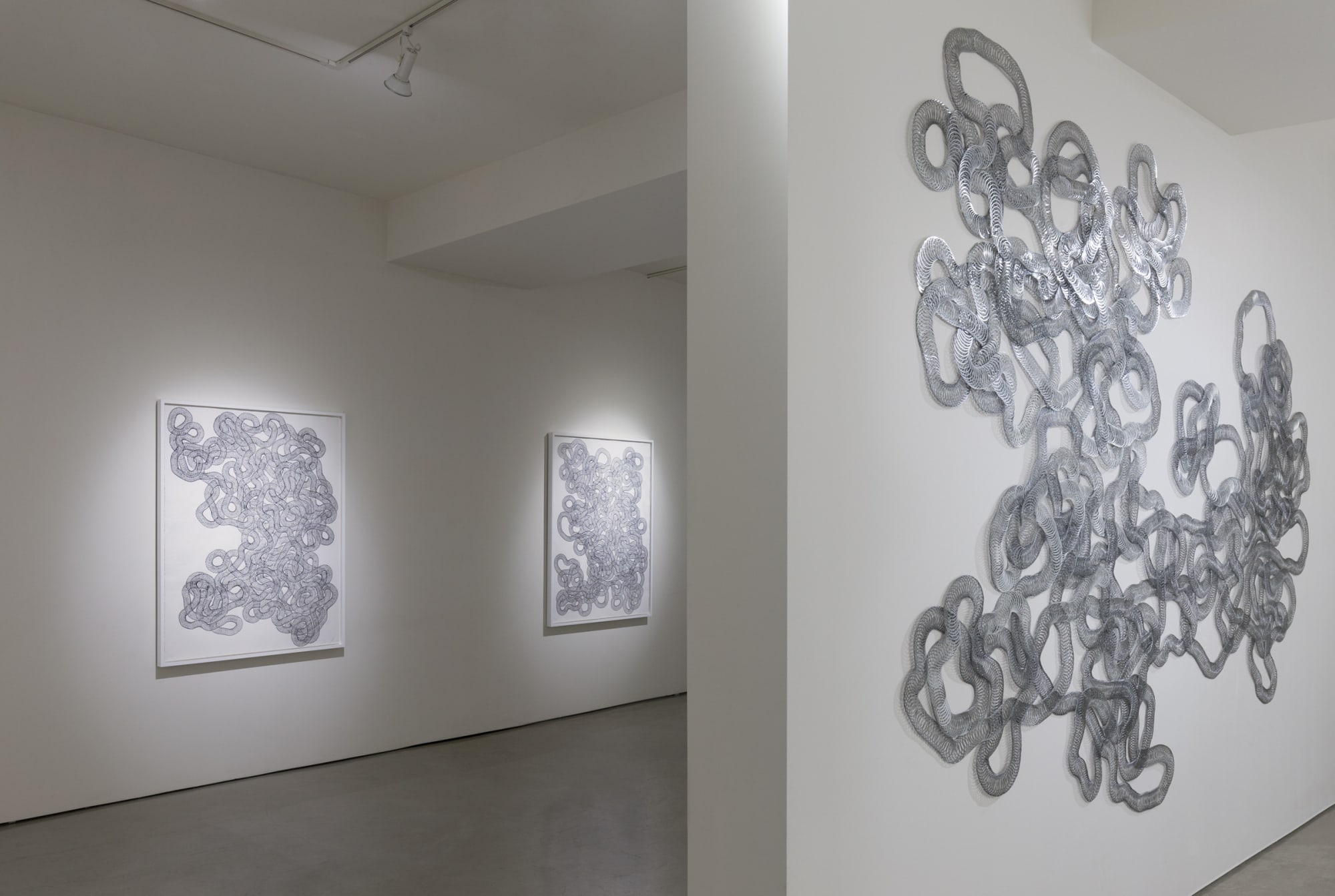 Tara Donovan | Slinkys