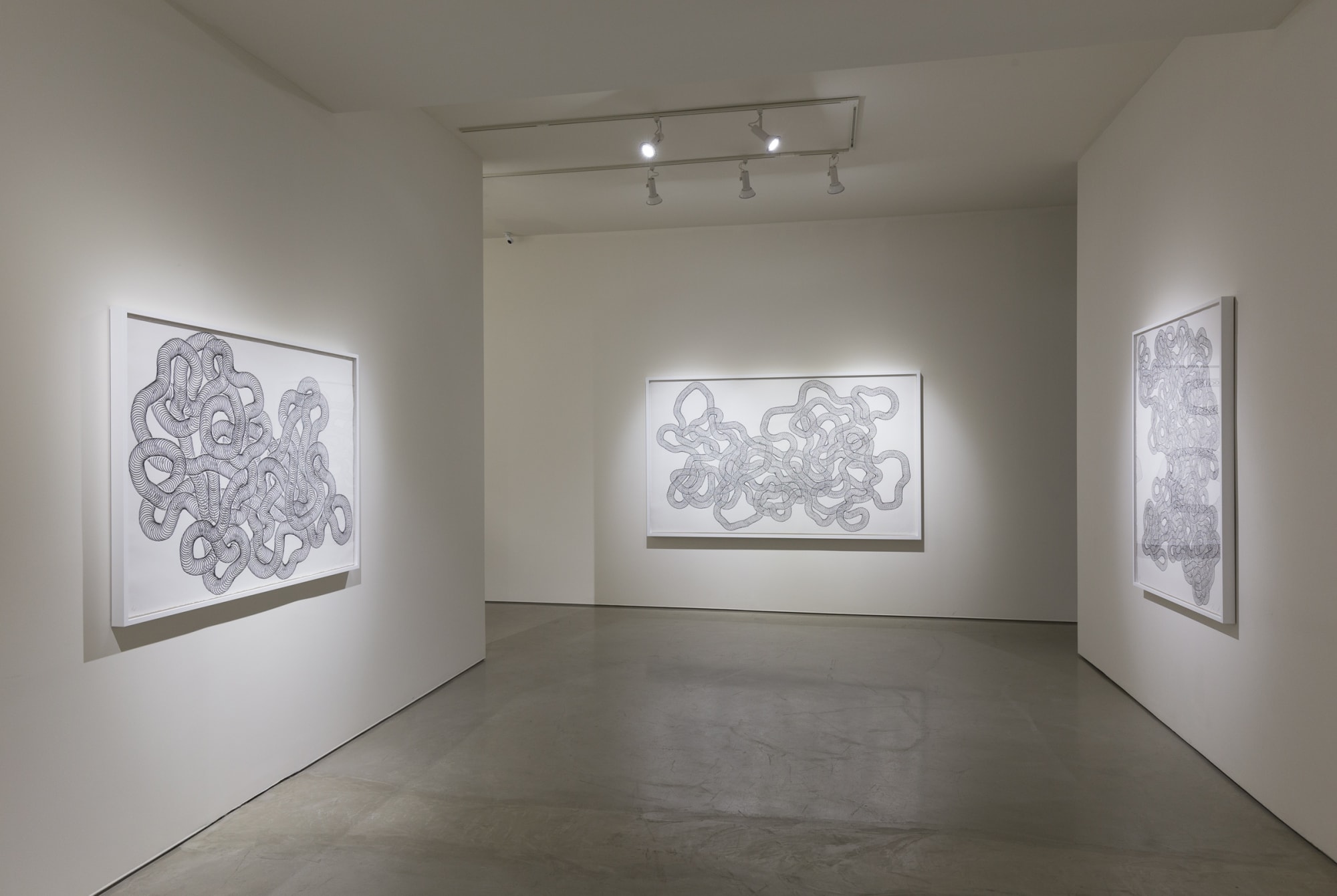 Tara Donovan | Slinkys