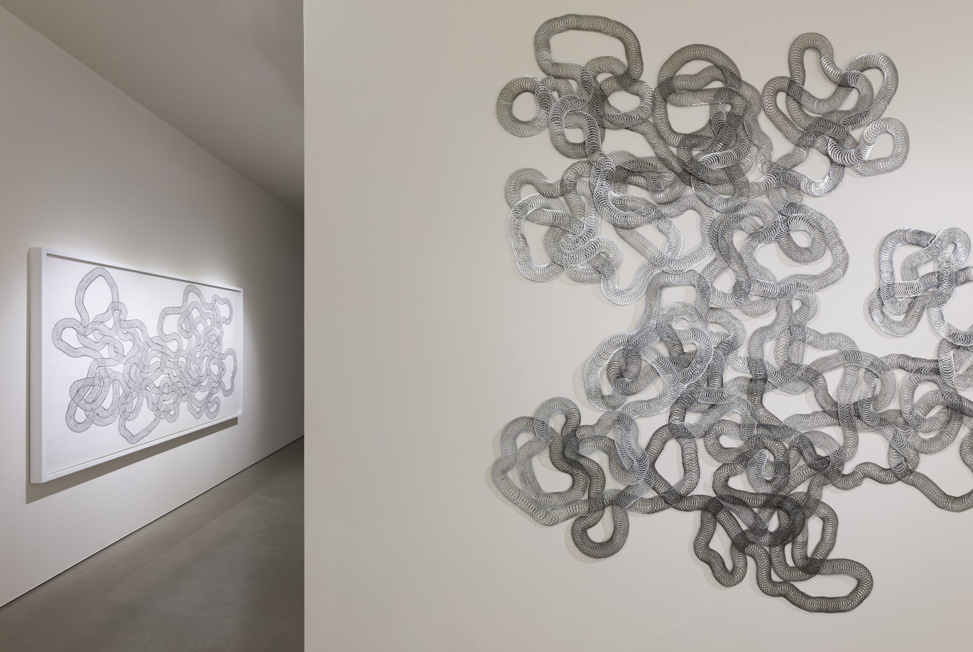 Tara Donovan | Slinkys