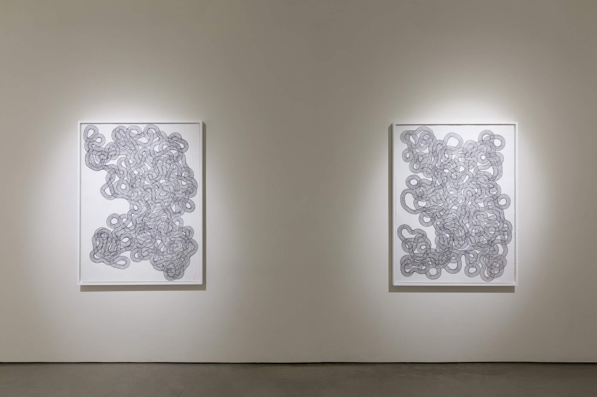 Tara Donovan | Slinkys