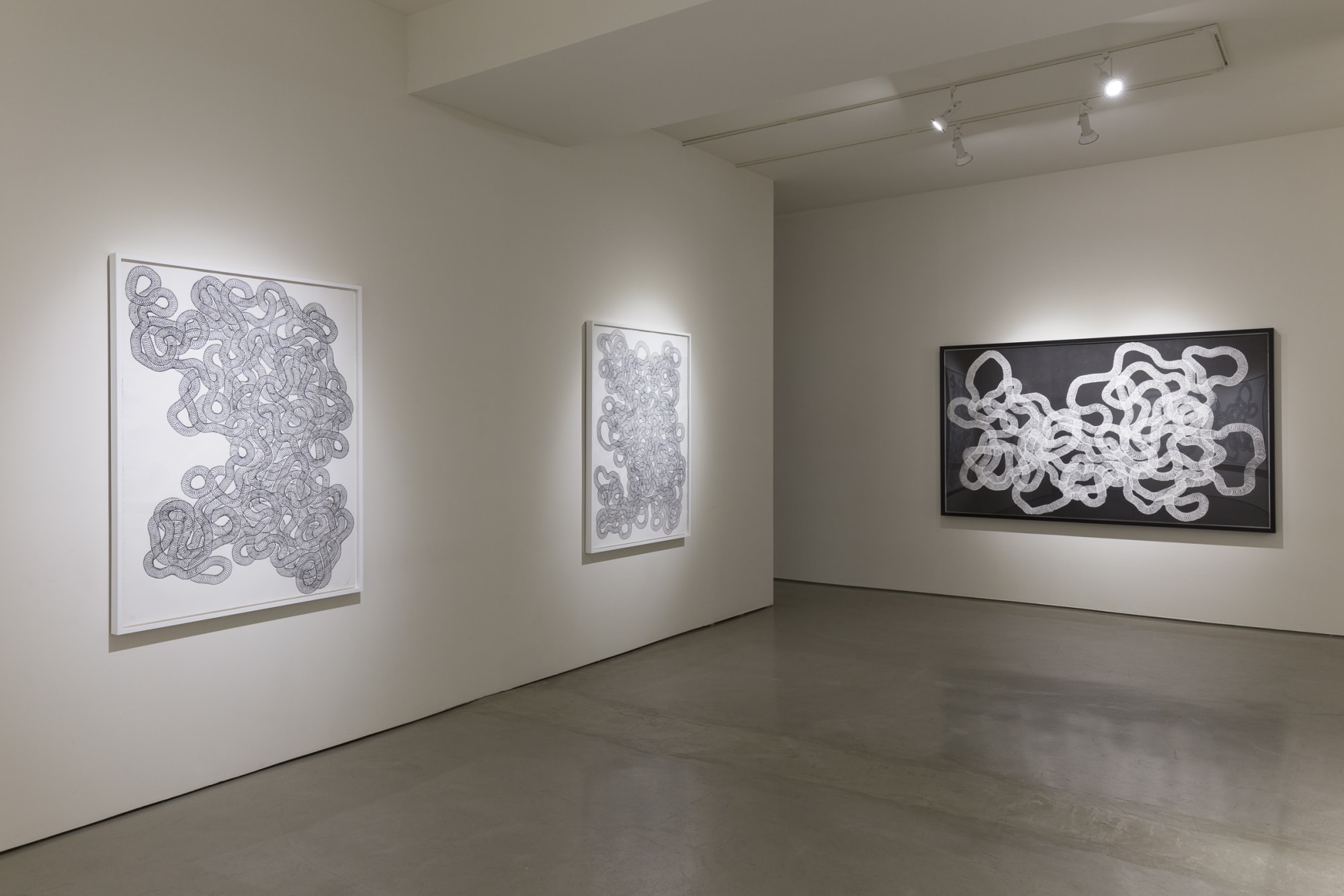 Tara Donovan | Slinkys