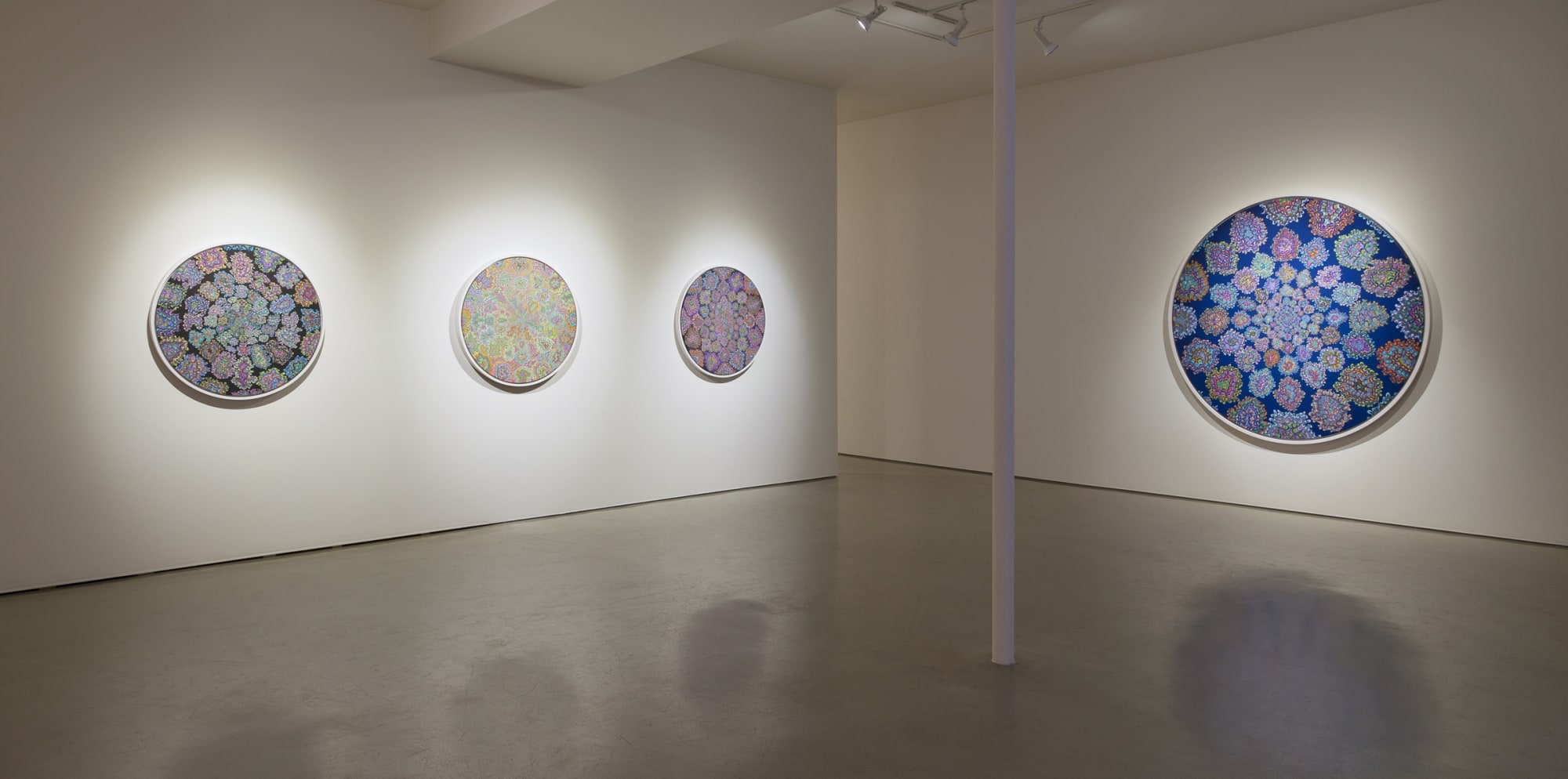 Kelsey Brookes | Book Signing and Print Release Party