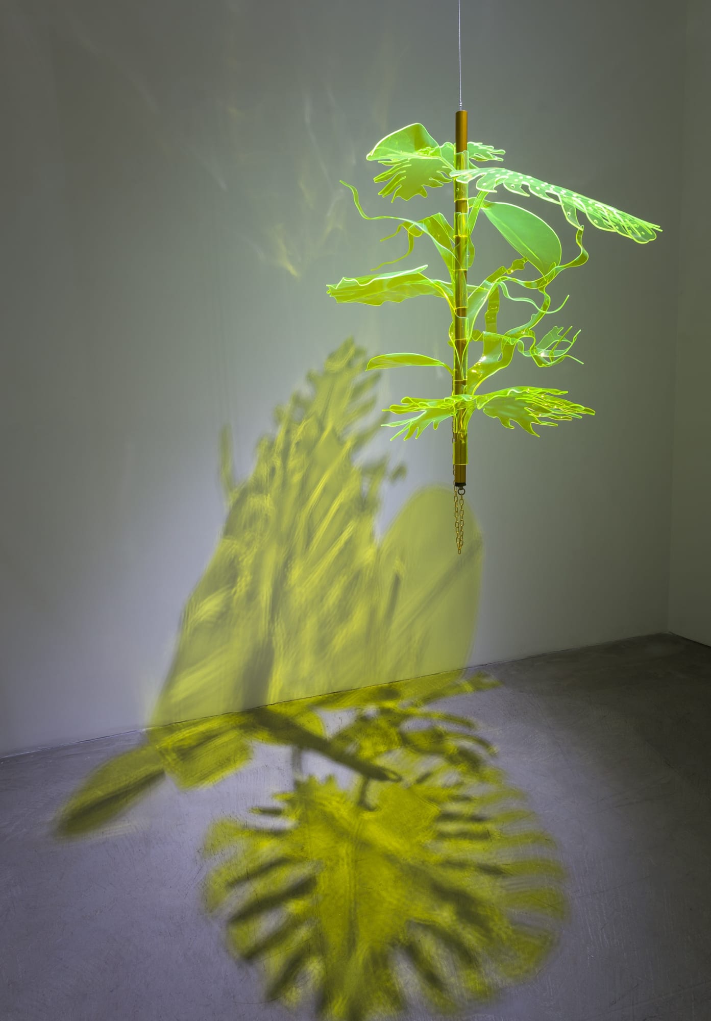 Thomas Glassford | Solar Plexus