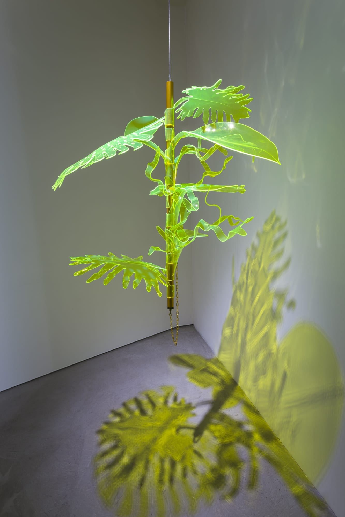 Thomas Glassford | Solar Plexus