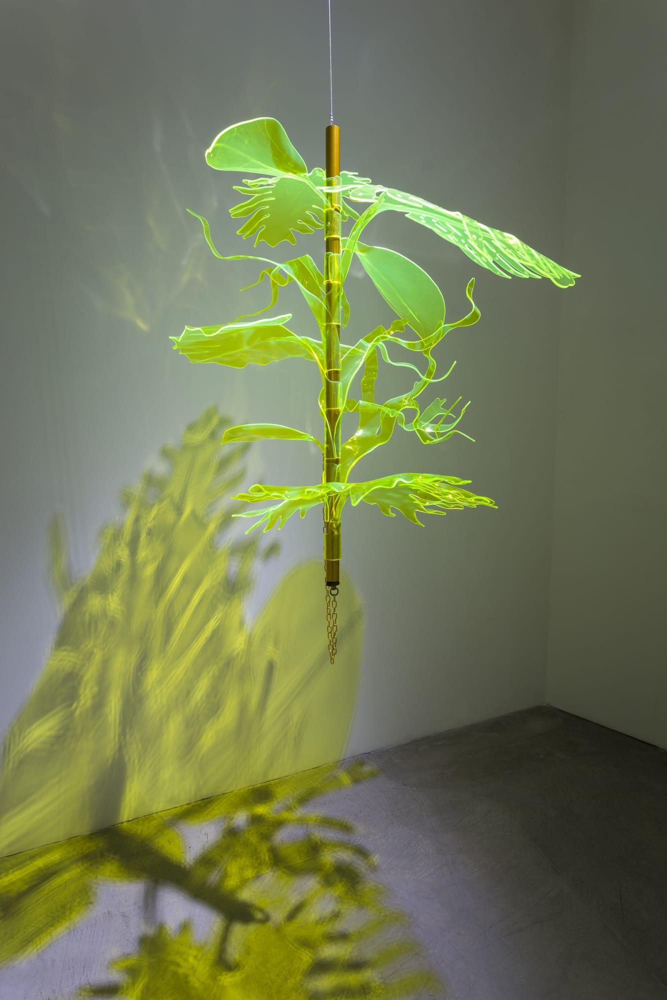 Thomas Glassford | Solar Plexus