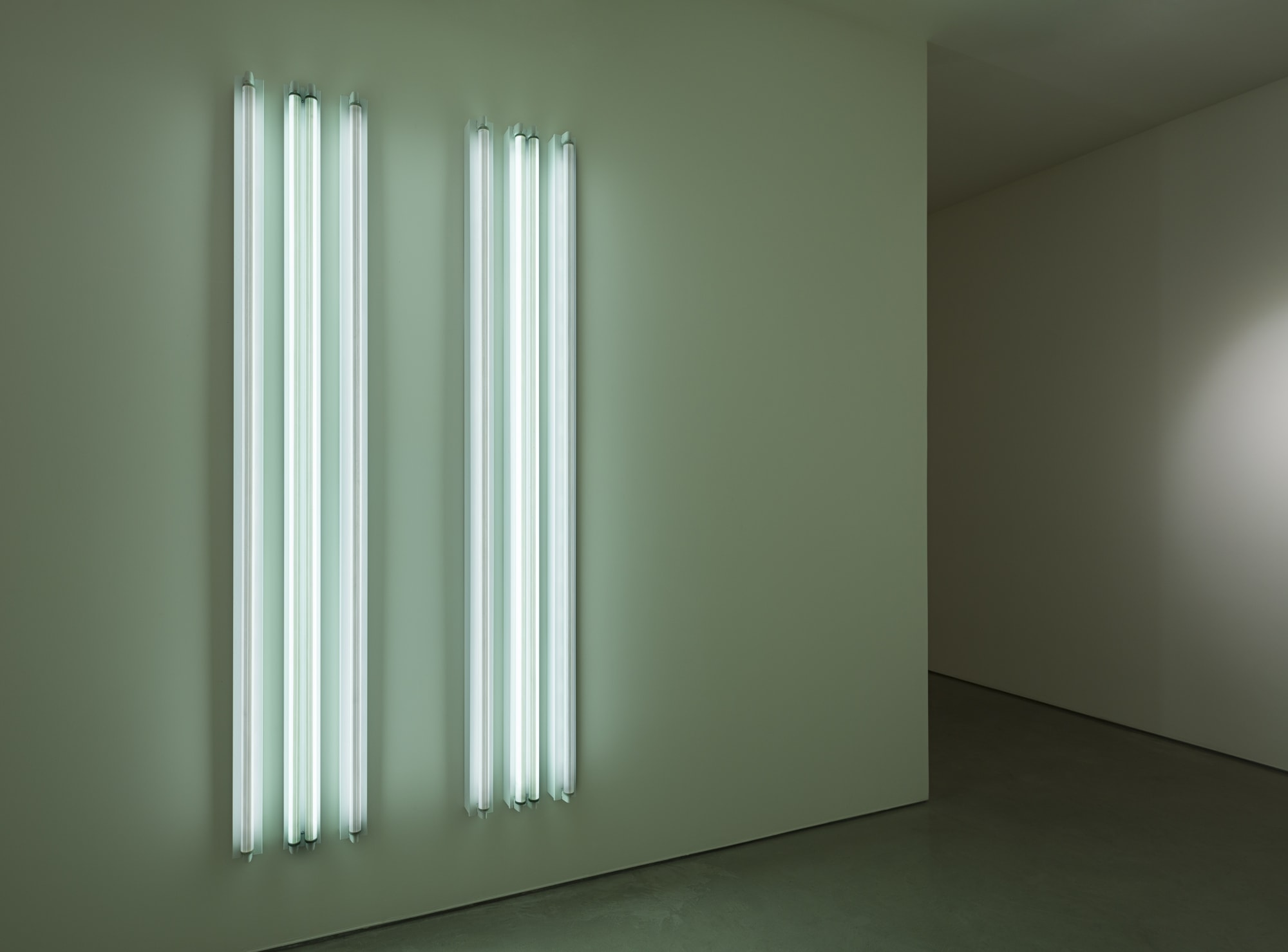 Robert Irwin