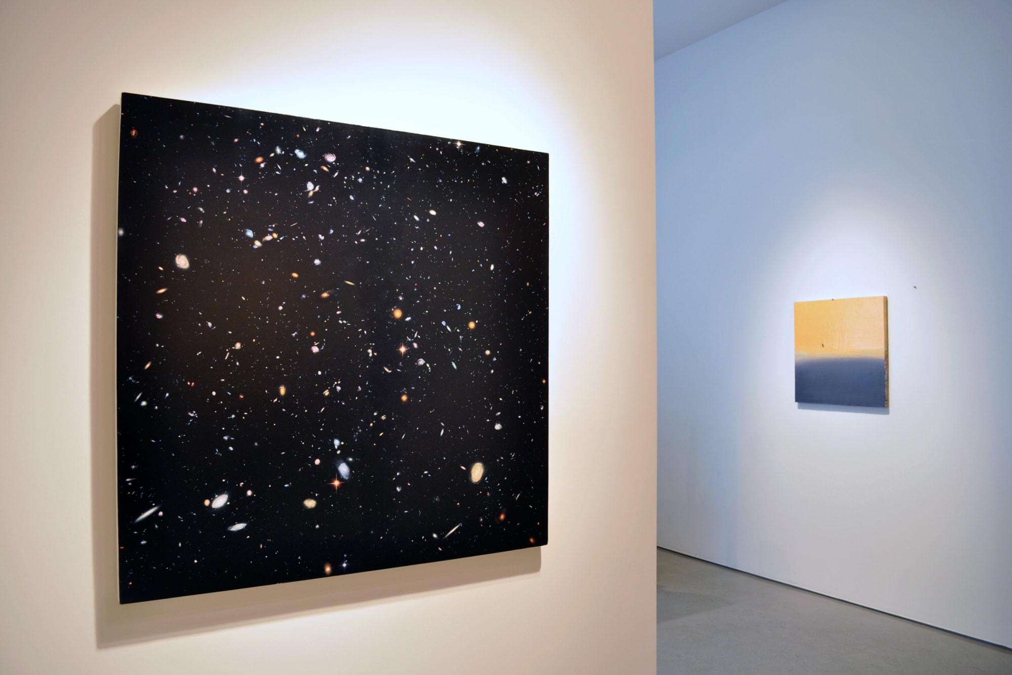 DISSECTING NATURE | Group Exhibition