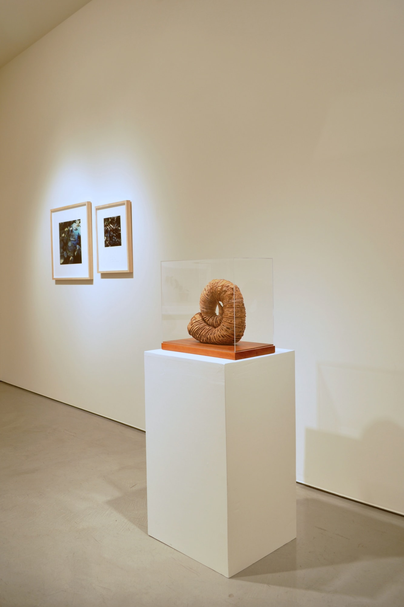 DISSECTING NATURE | Group Exhibition