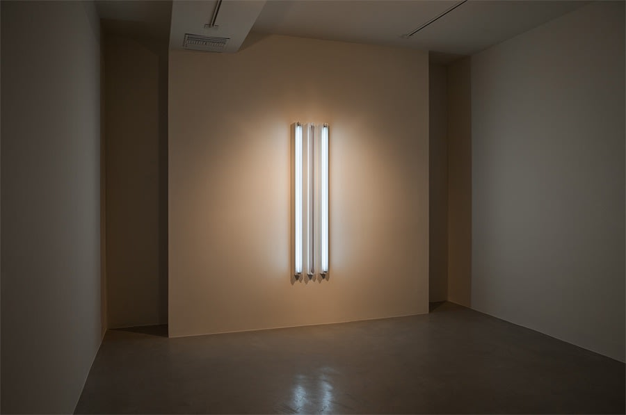 Robert Irwin | Works in Progress