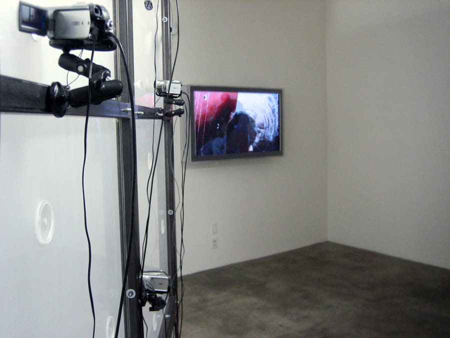 Lincoln Schatz | Cube